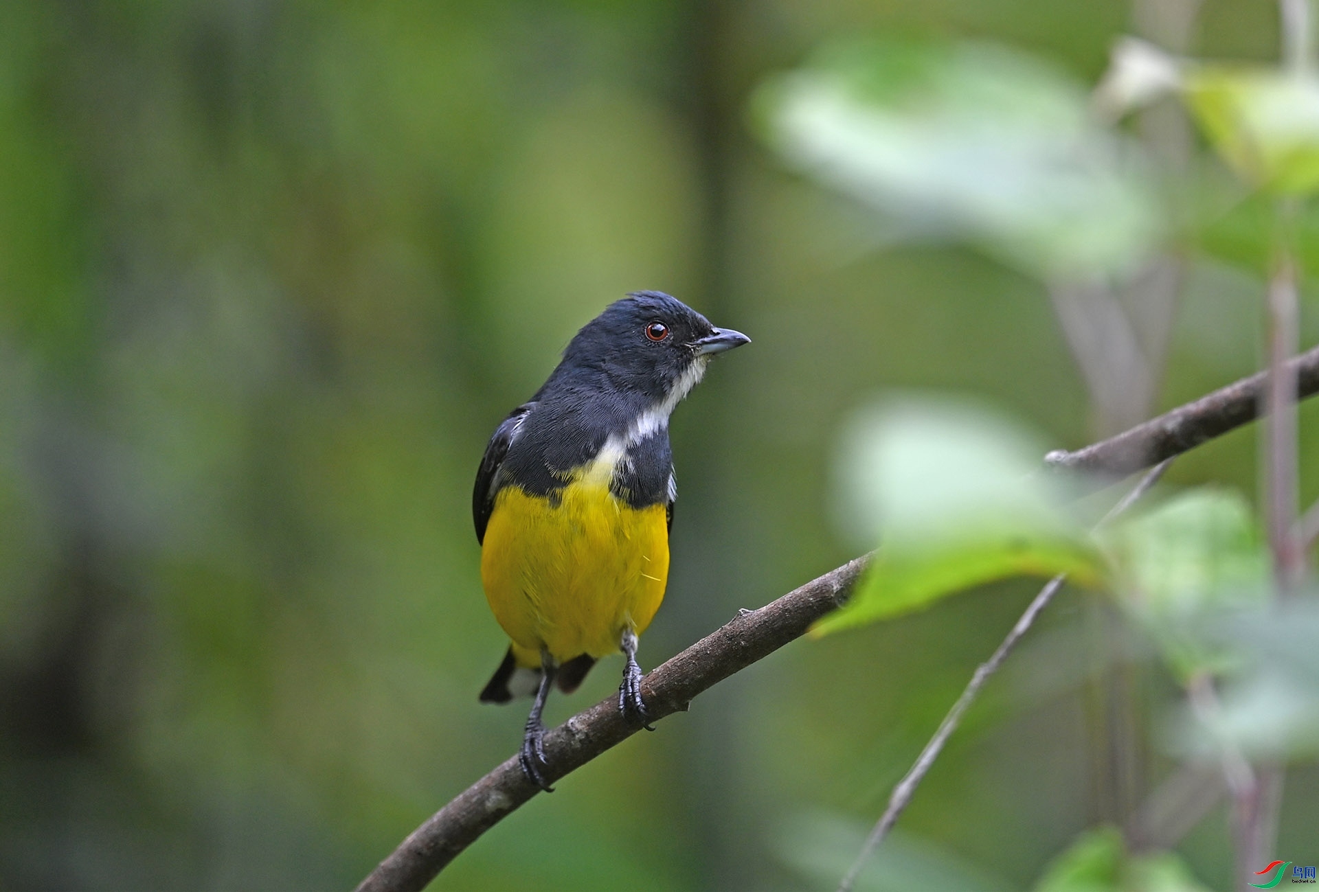 ����ϸ��  ��ʦ����������ʡ����������������������.jpg