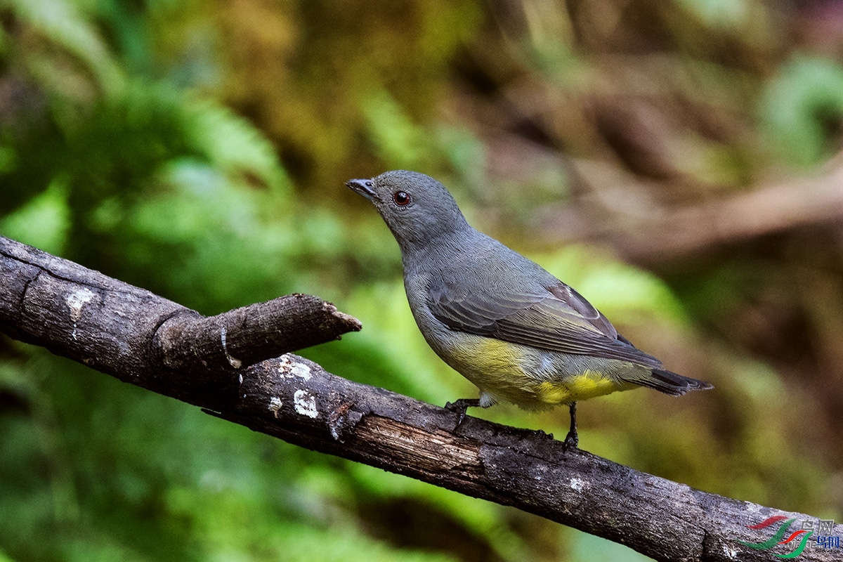 �����˼�  ��ʦ����.jpg