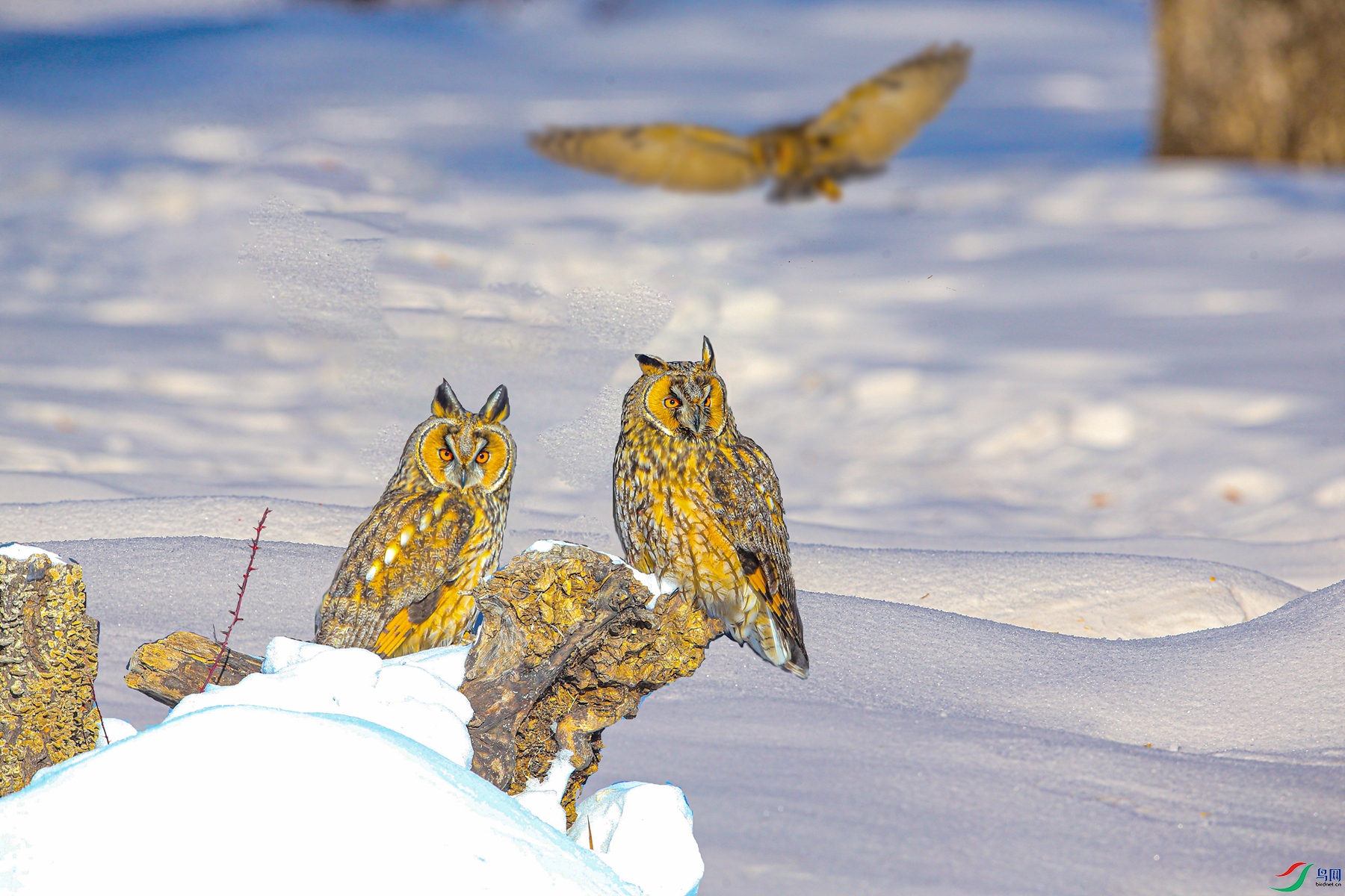 BE7W8902 - ����.jpg