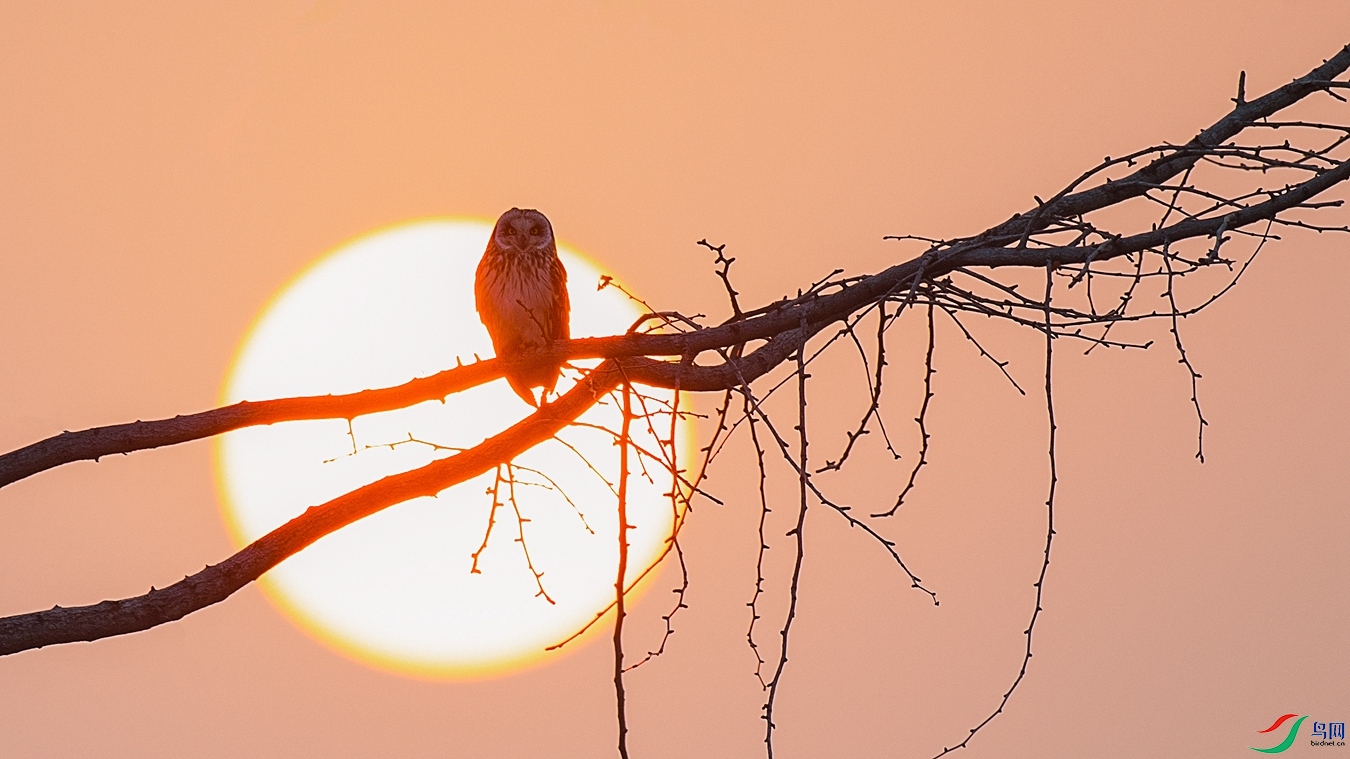 DSC_6401 - ����.jpg