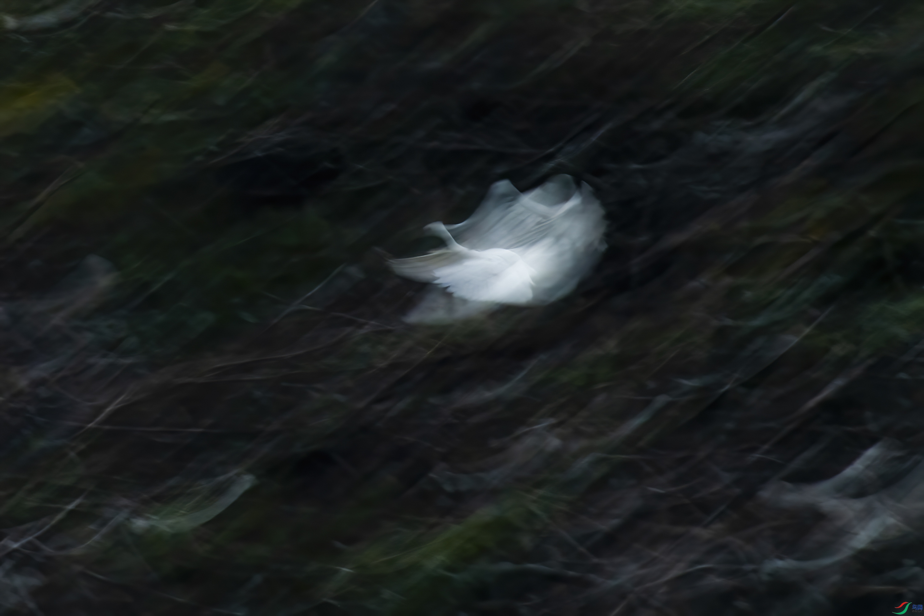 DSC_3757_1.jpg