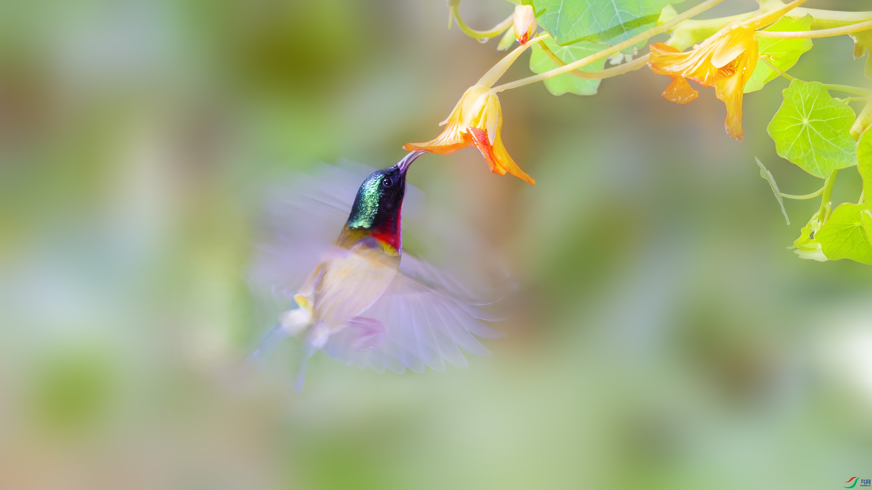_DSC4268_DxO1.jpg