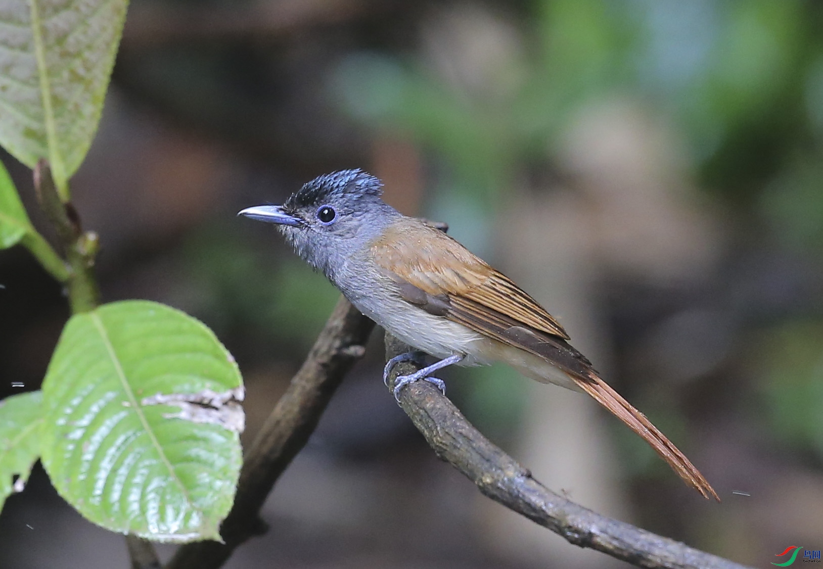 �ǰ� (3)����.jpg