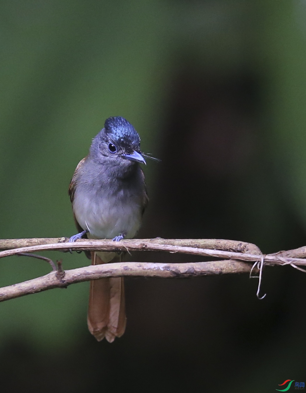 �ǰ� (14)����.jpg