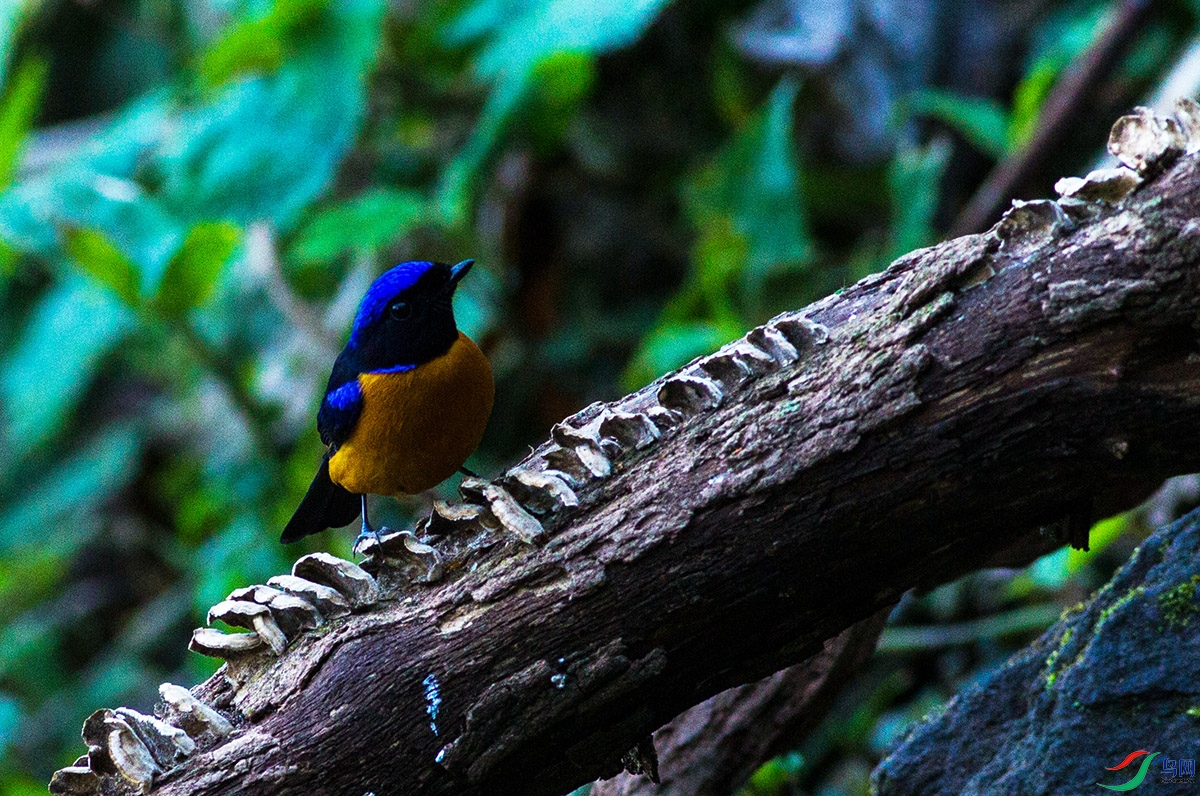 �ظ����l (3).jpg