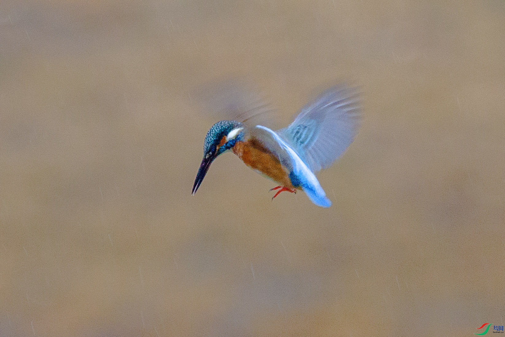 051A7129.jpg
