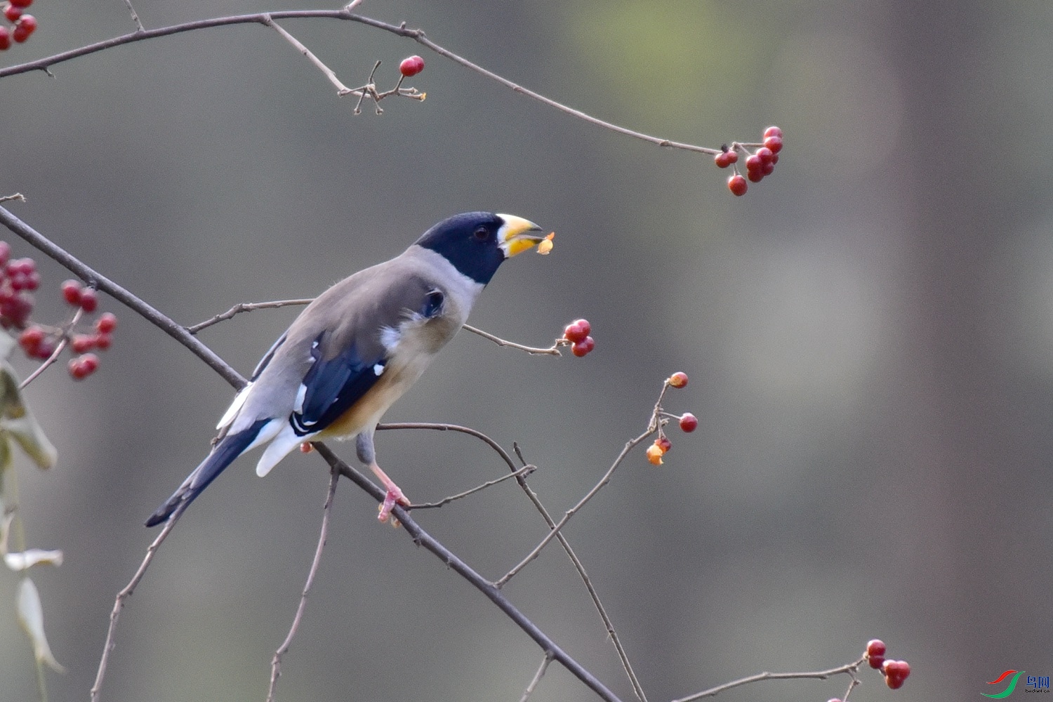 DSC_6474.JPG
