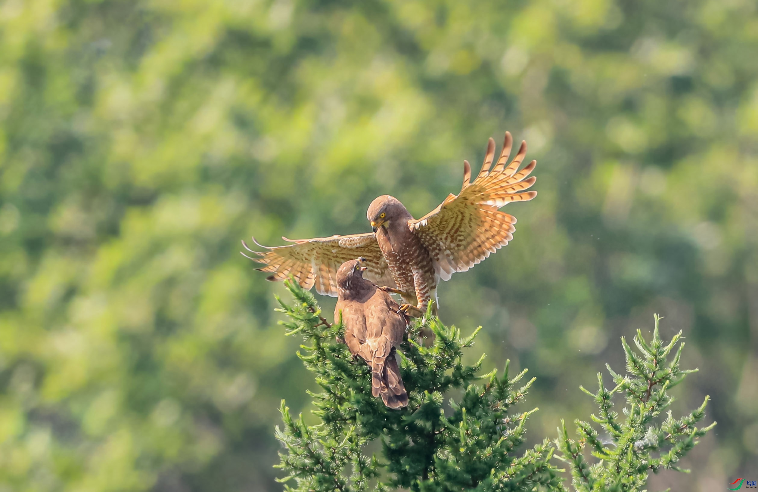 ������ͼ޸���