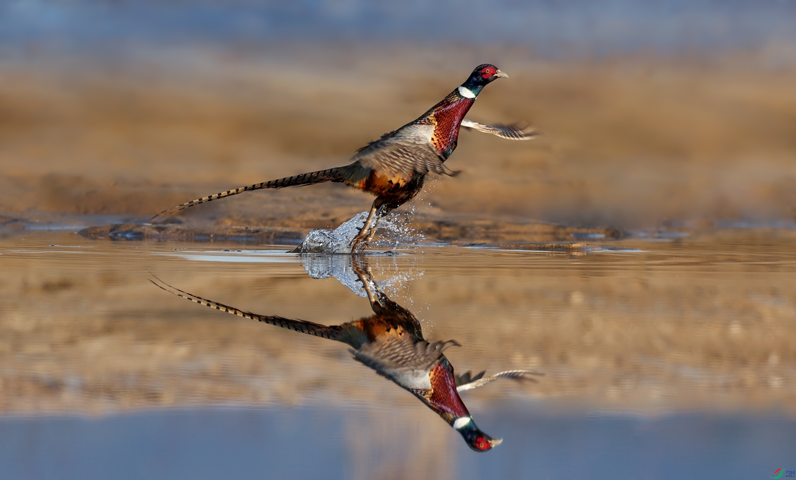 ��ɵ����� ������ ����ʡ 13305644113.jpg