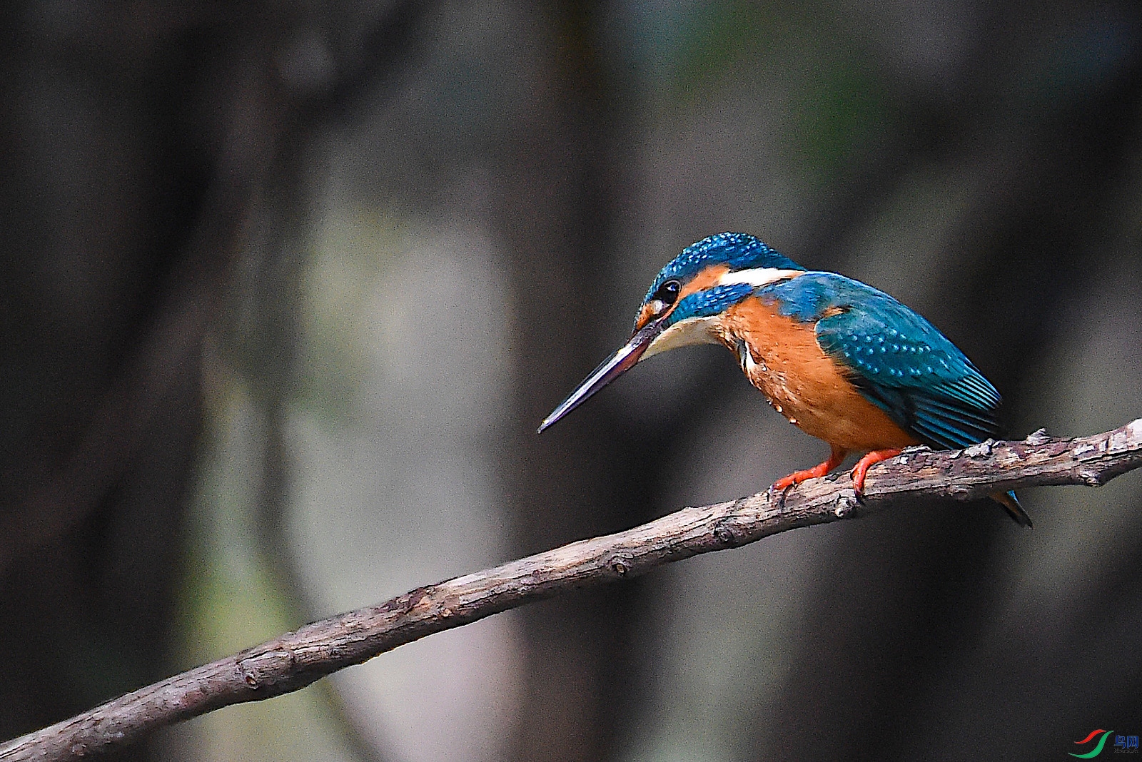 DSC_5534.jpg