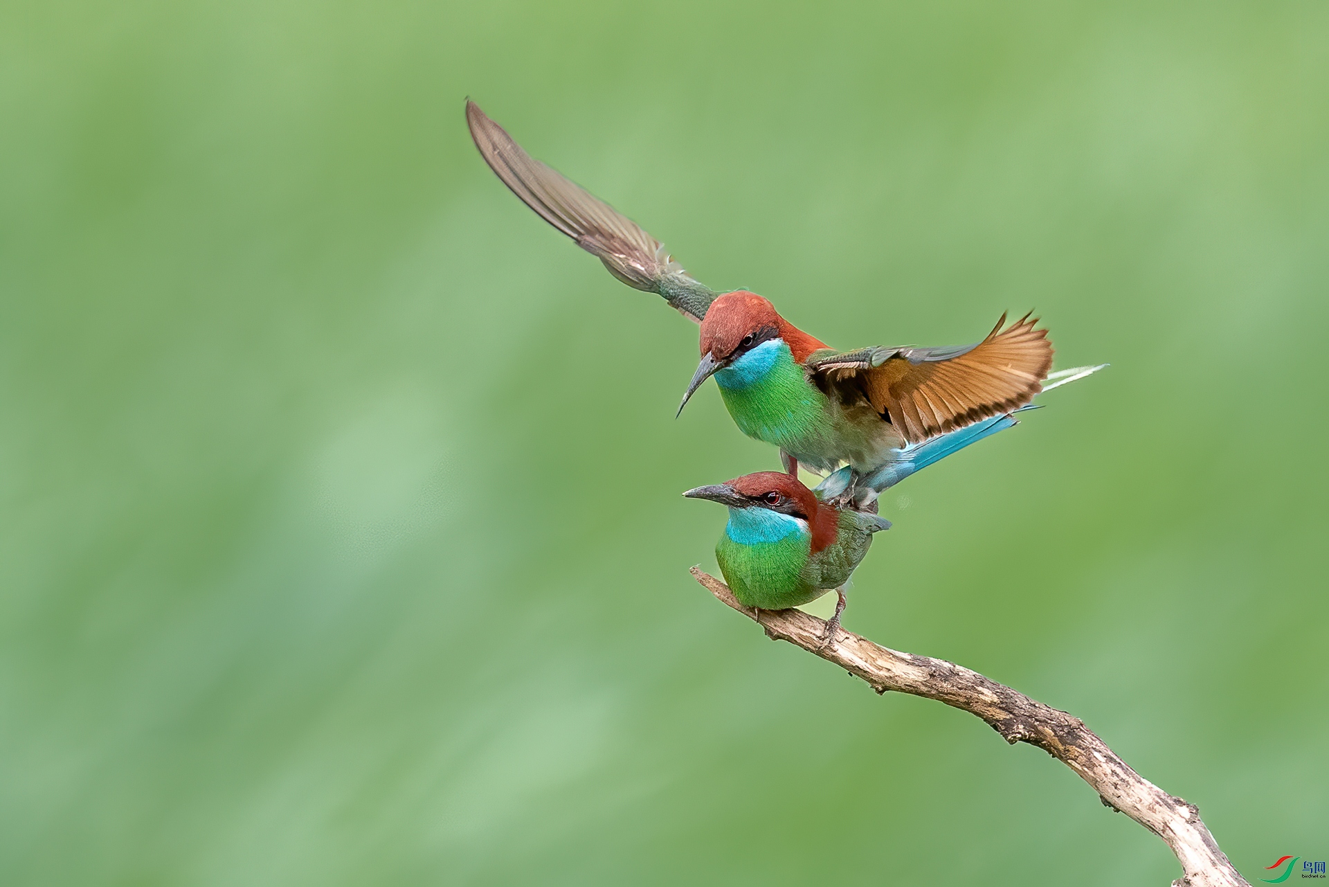 �Ҹ�ʱ��_8097047.jpg