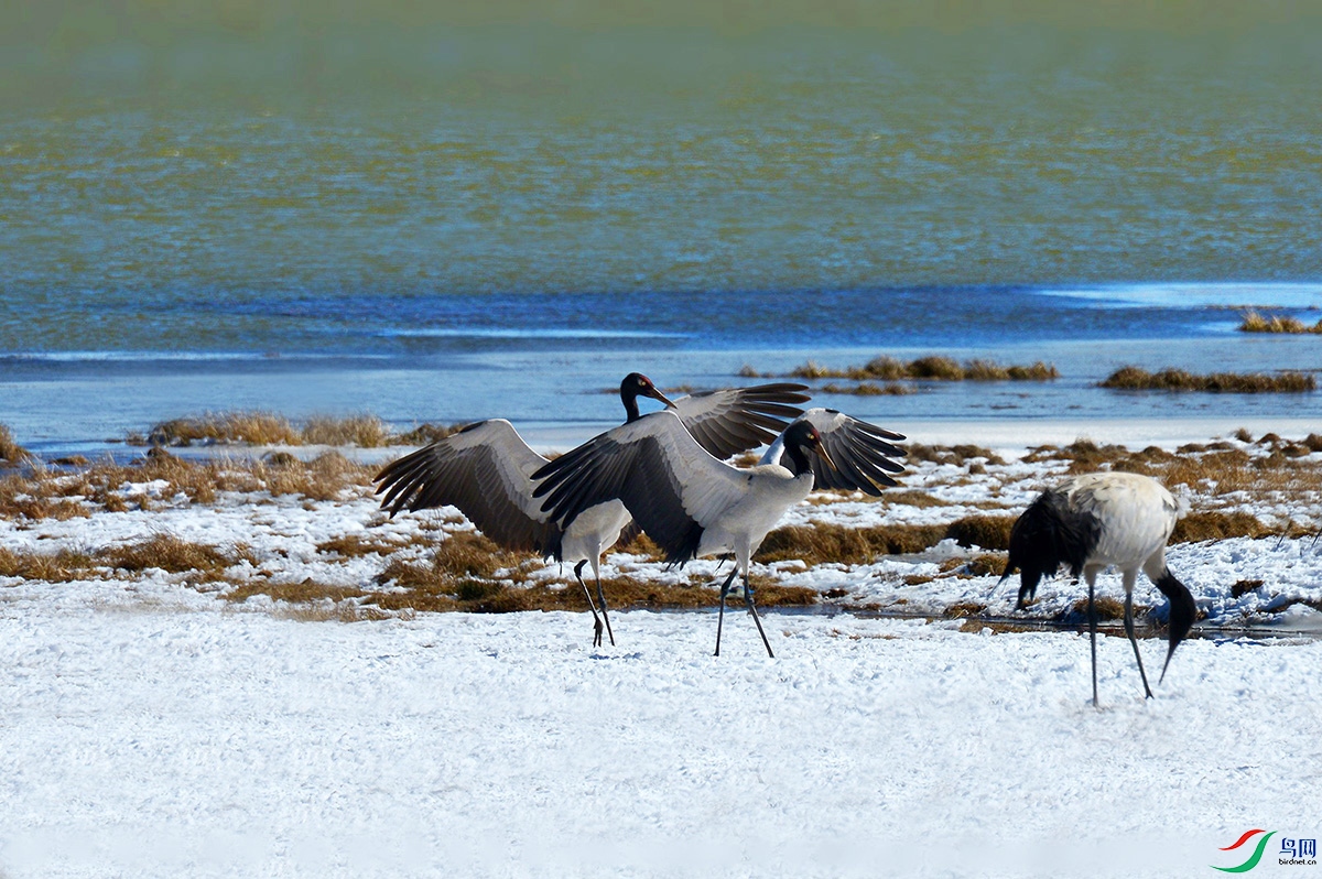 DSC_6627_.jpg