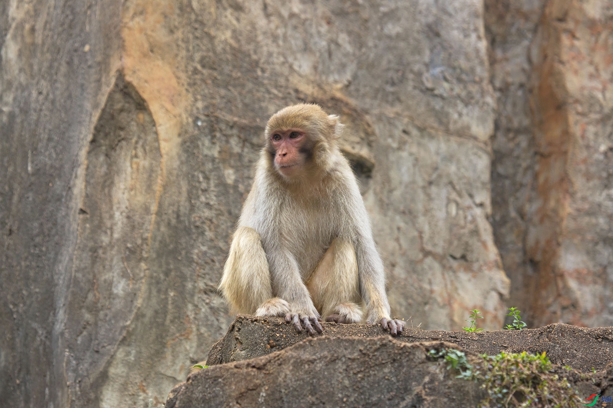 1D6A8689-.jpg