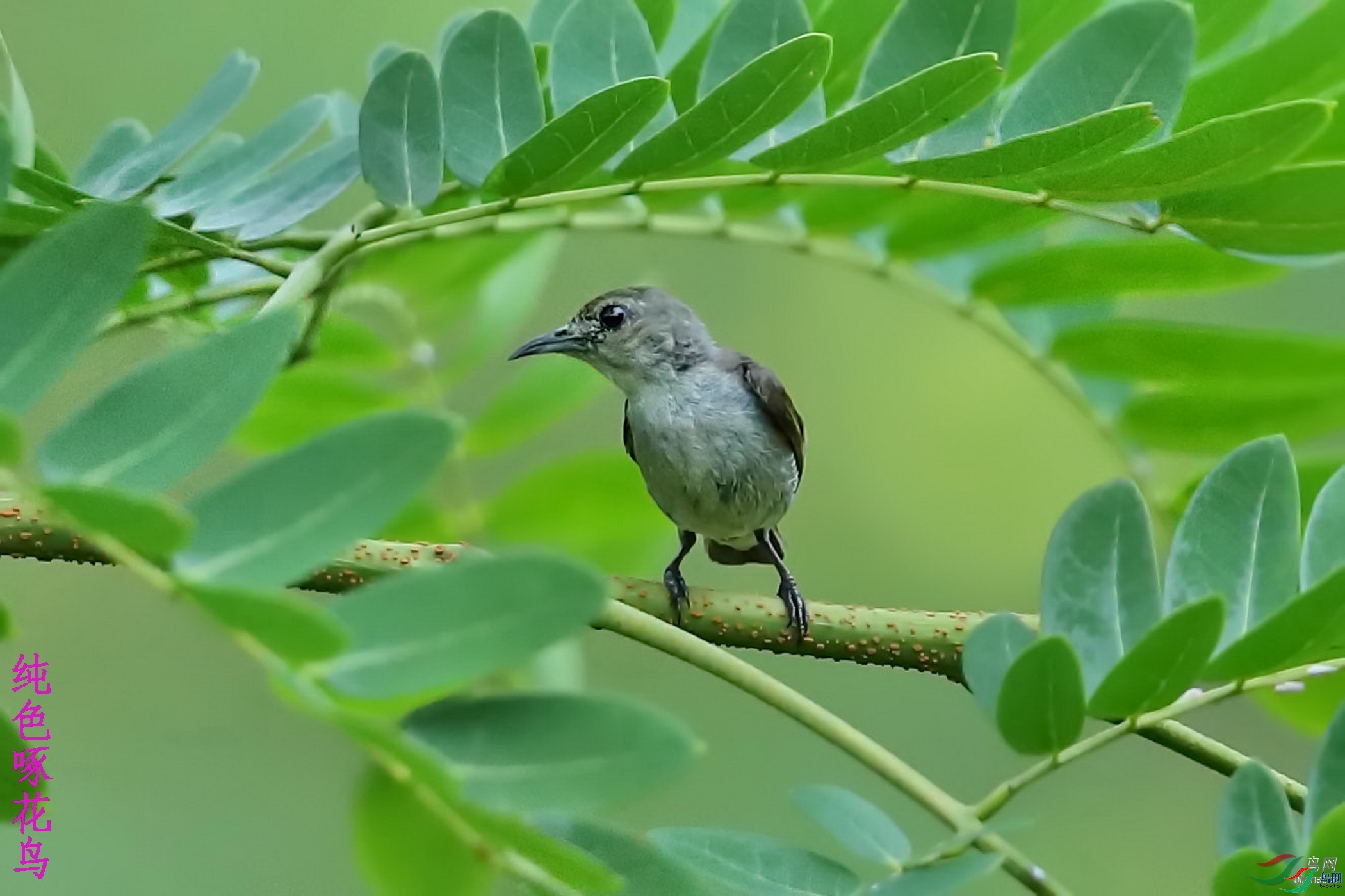 ����һ��ˮ  ��ʦ�����ڹ���׳��������������.jpg