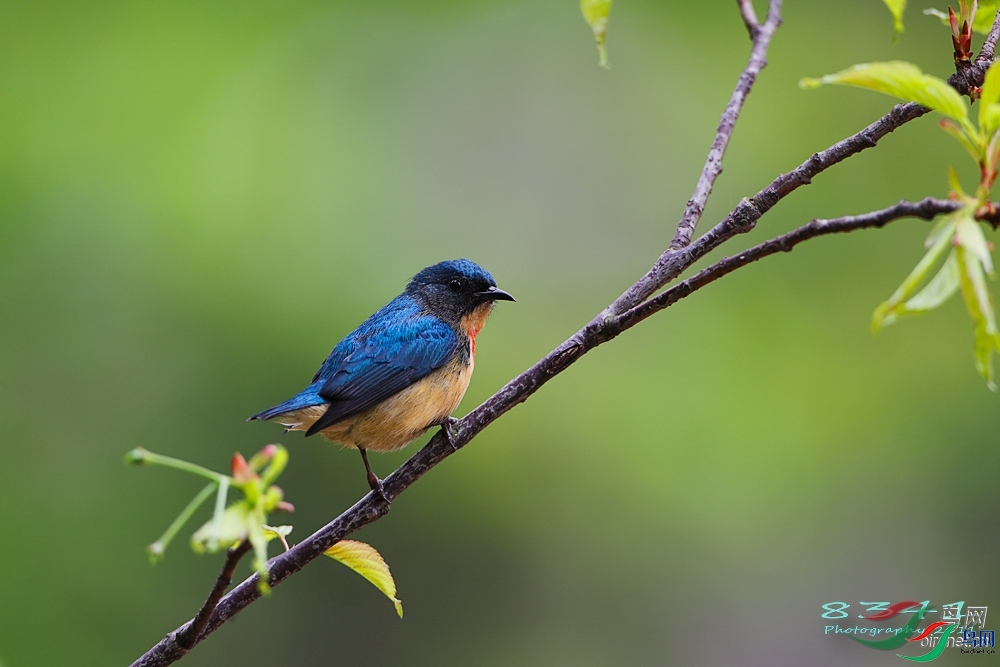 8341  ��ʦ�����ڸ���ʡ.jpg