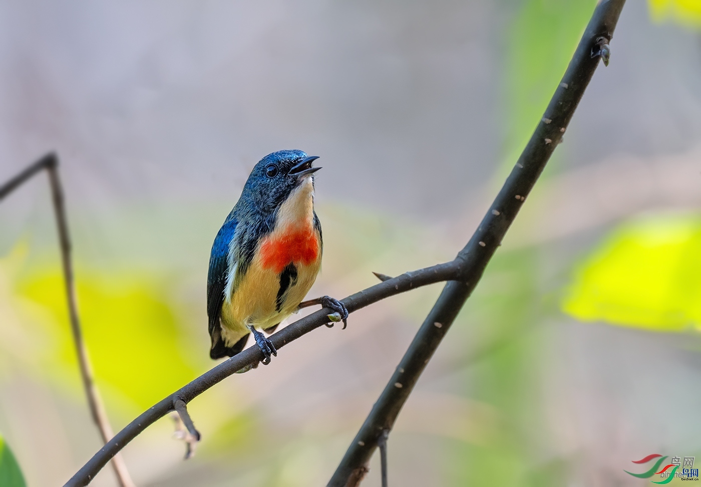 ǭɽ��Ӱ  ��ʦ�����ڹ���ʡǭ���ϲ���������������������.jpg