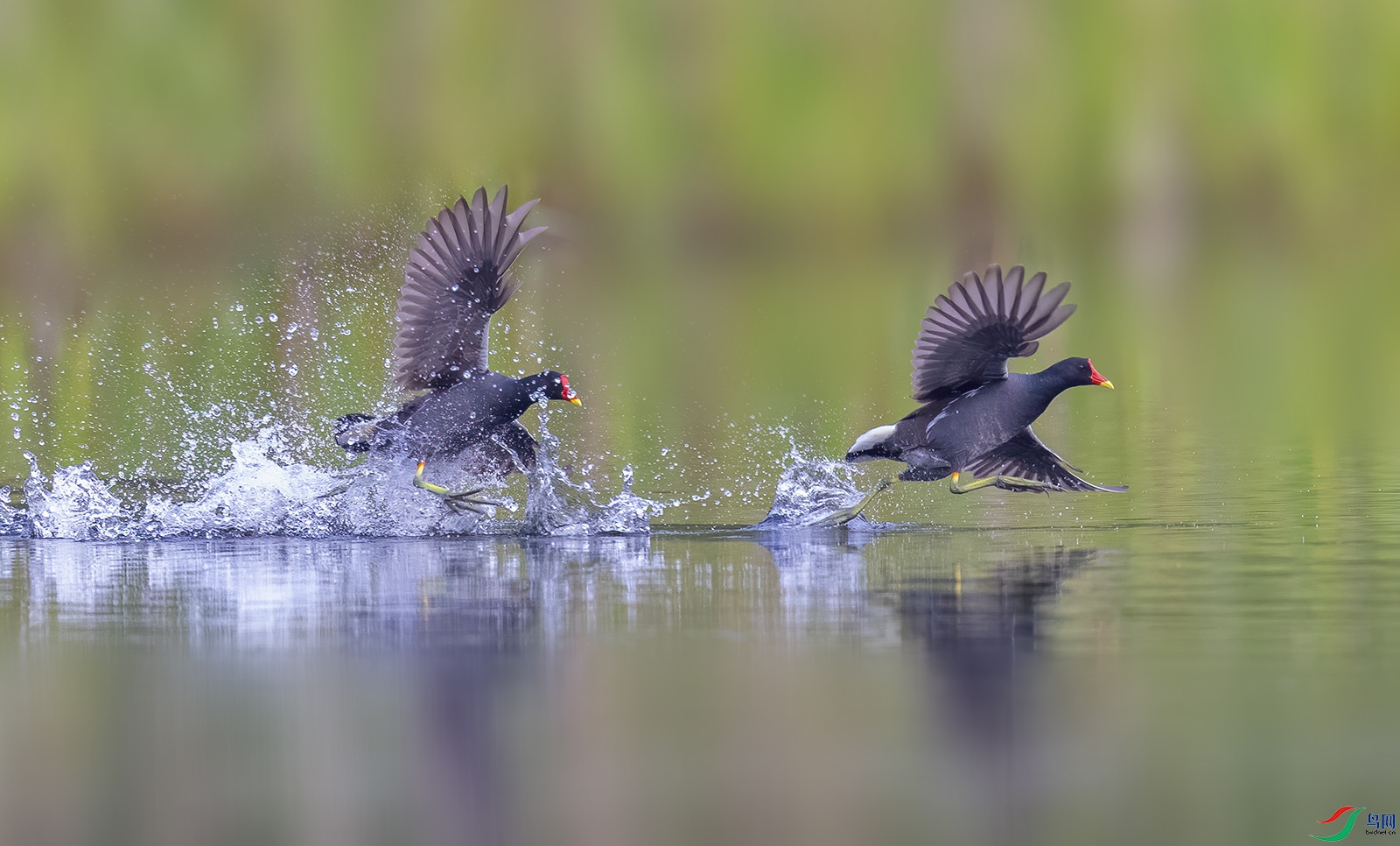 AC0I1477 ����.jpg