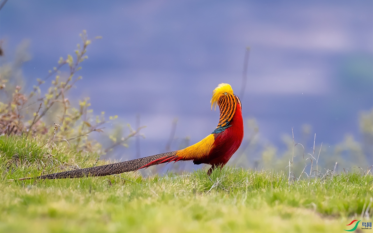 546A9764 ����.jpg