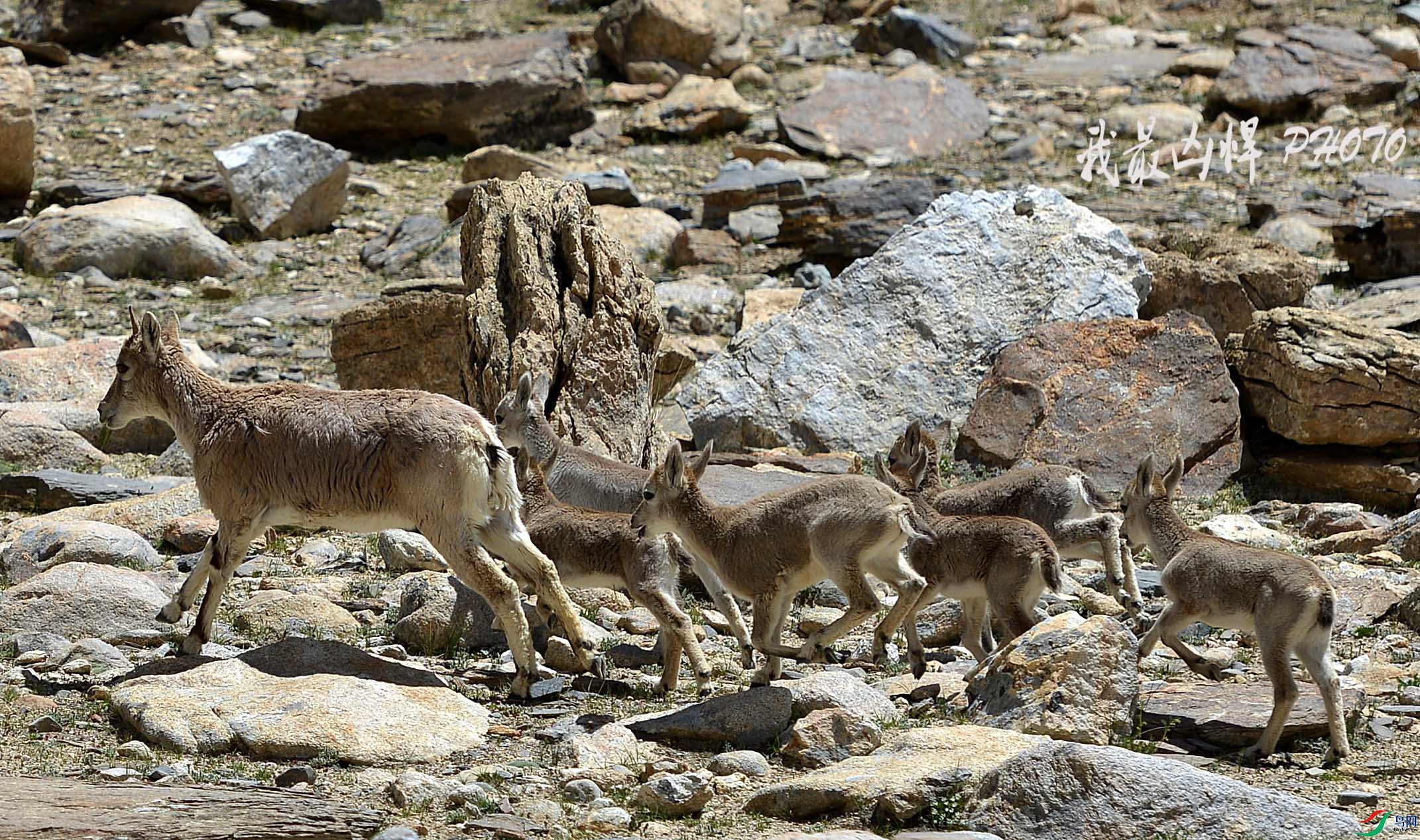 DSC_0647.jpg