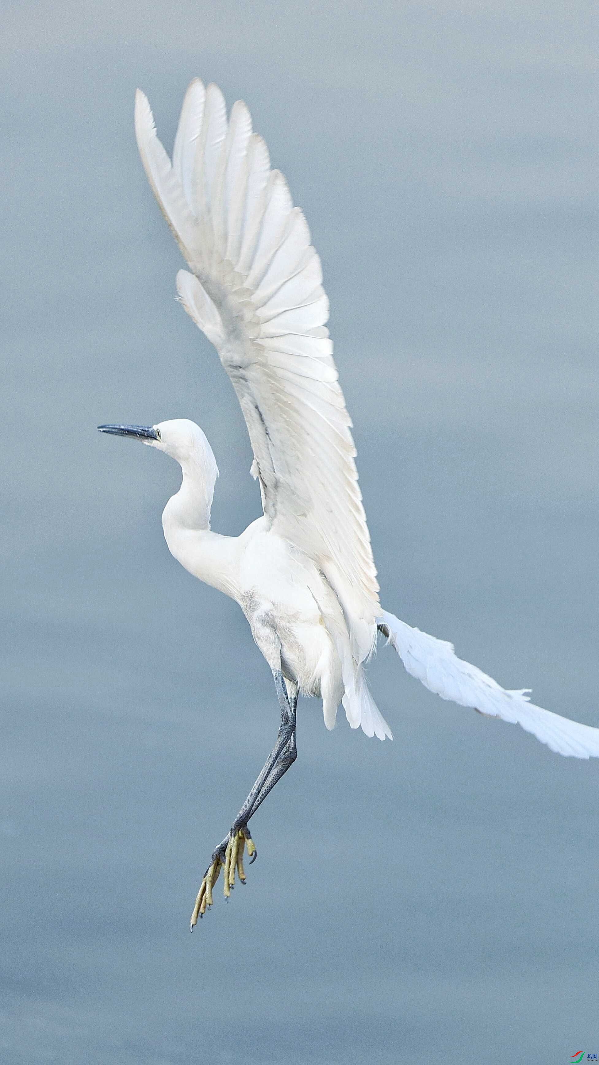 ����չ��