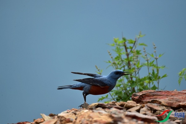 File0000051208.jpg