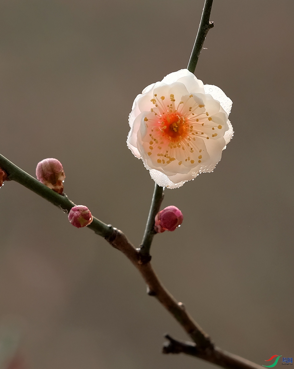 DSCF3213.JPG