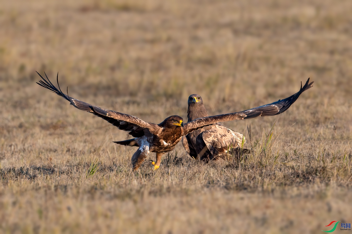 _DSC8622--��׼ʱ��.jpg