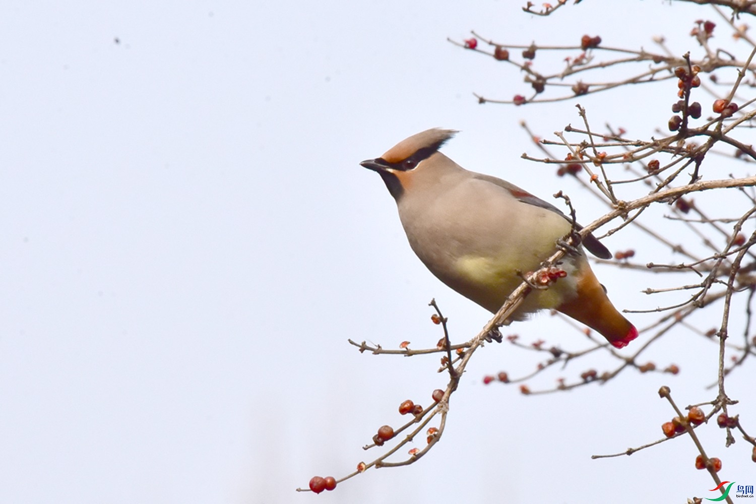 DSC_6368.JPG