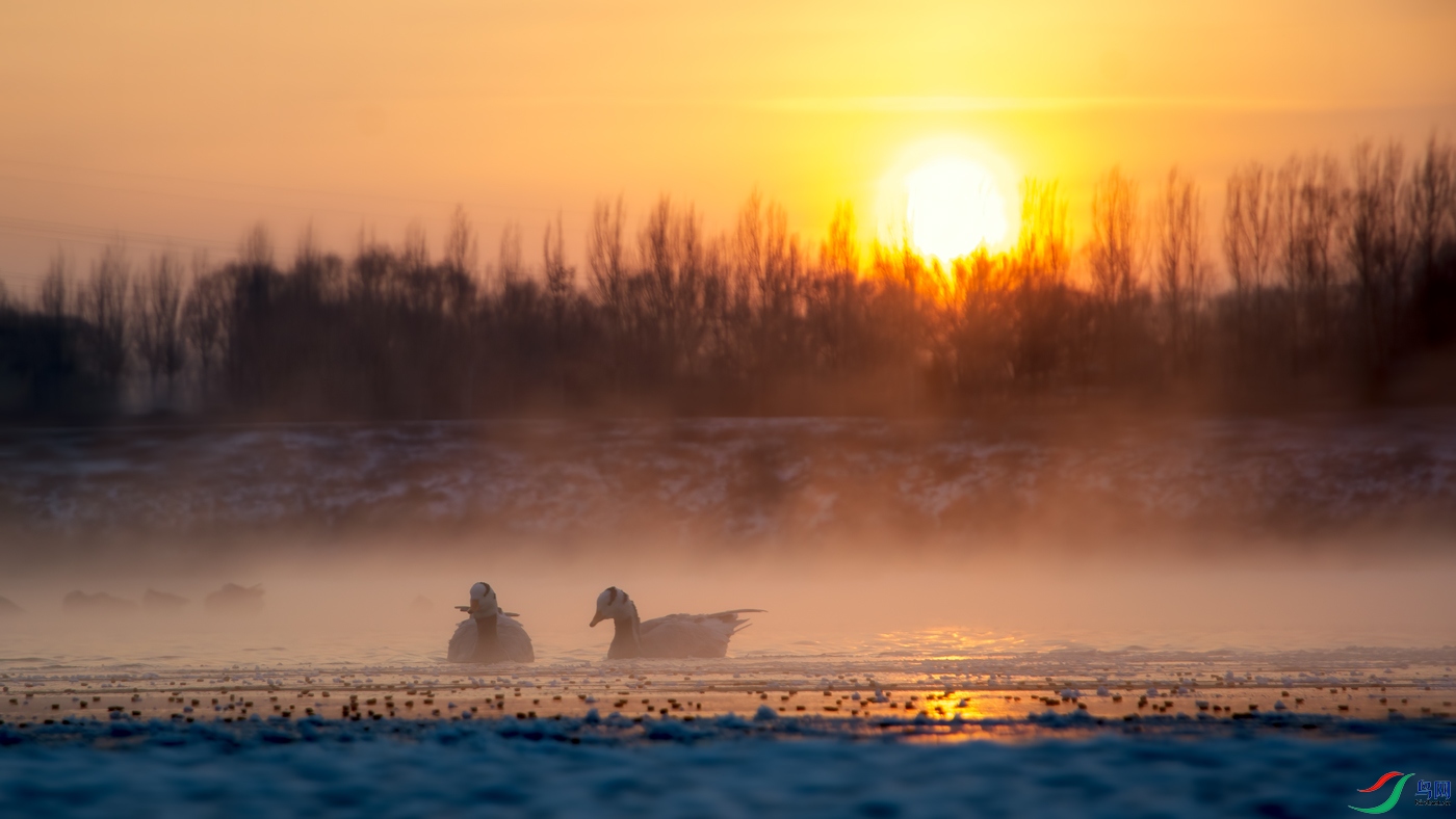 _DSC0873.jpg