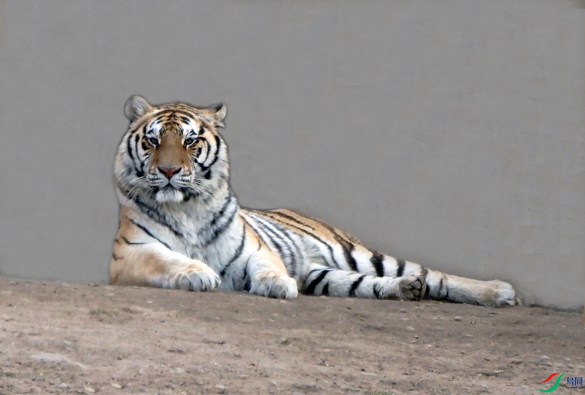 P2249654.jpg