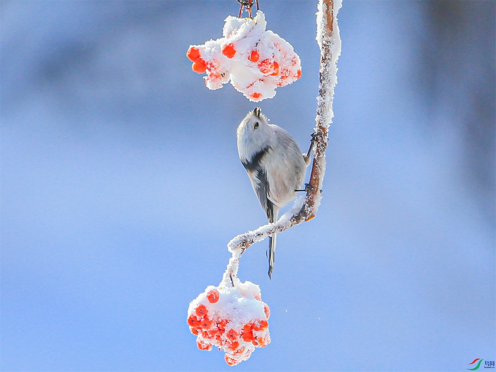 2215 ����1.jpg