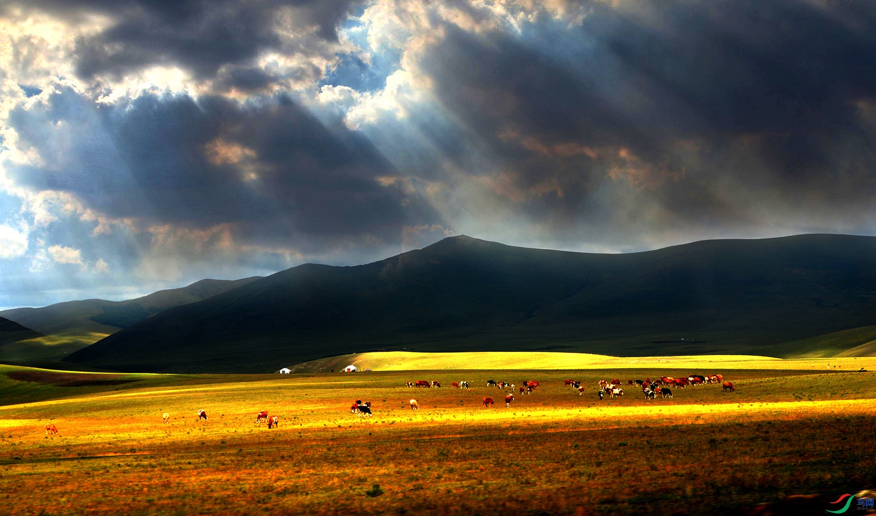 DSC_0486 ����.jpg