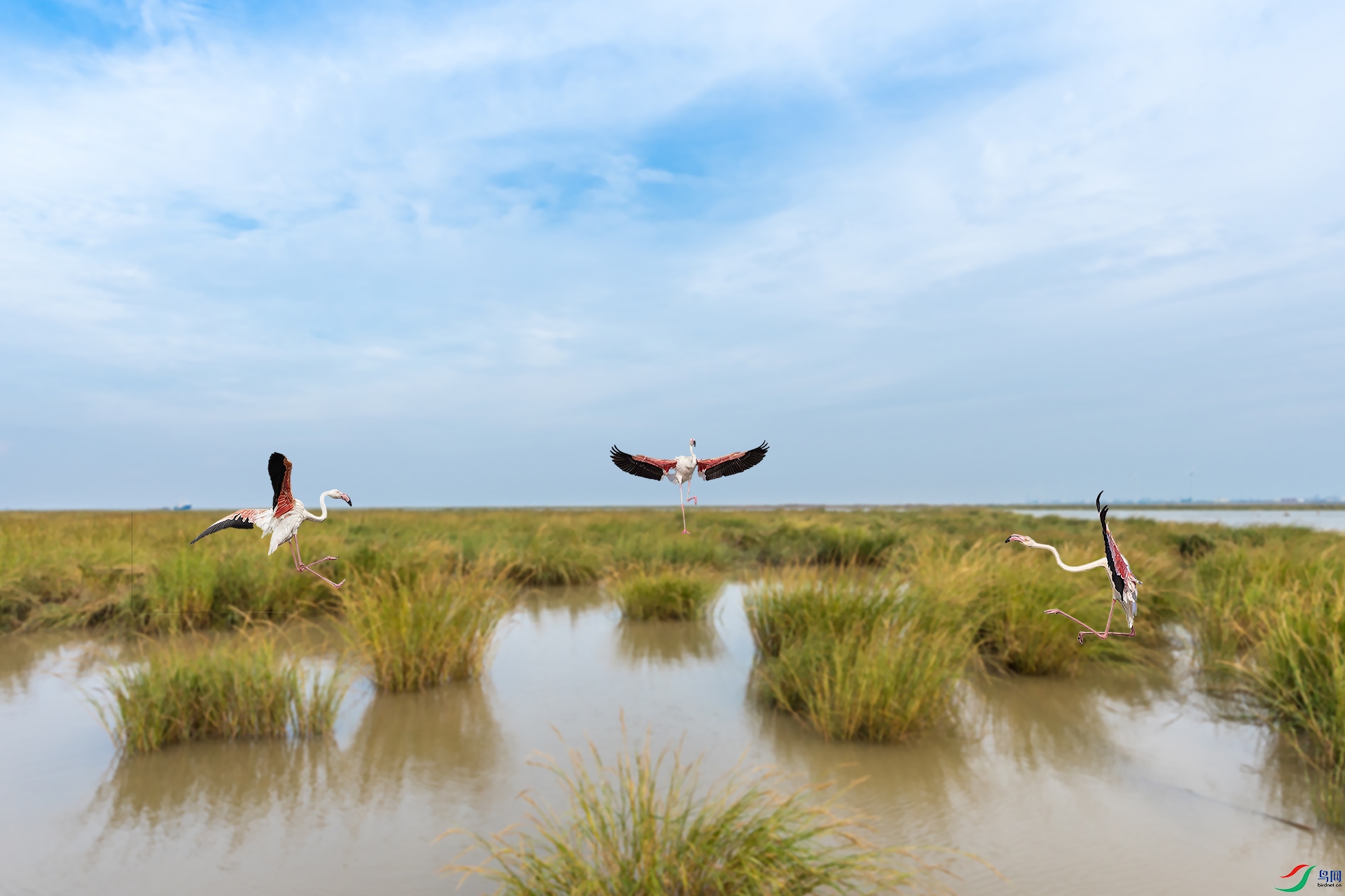 С�� 1920x500k.jpg