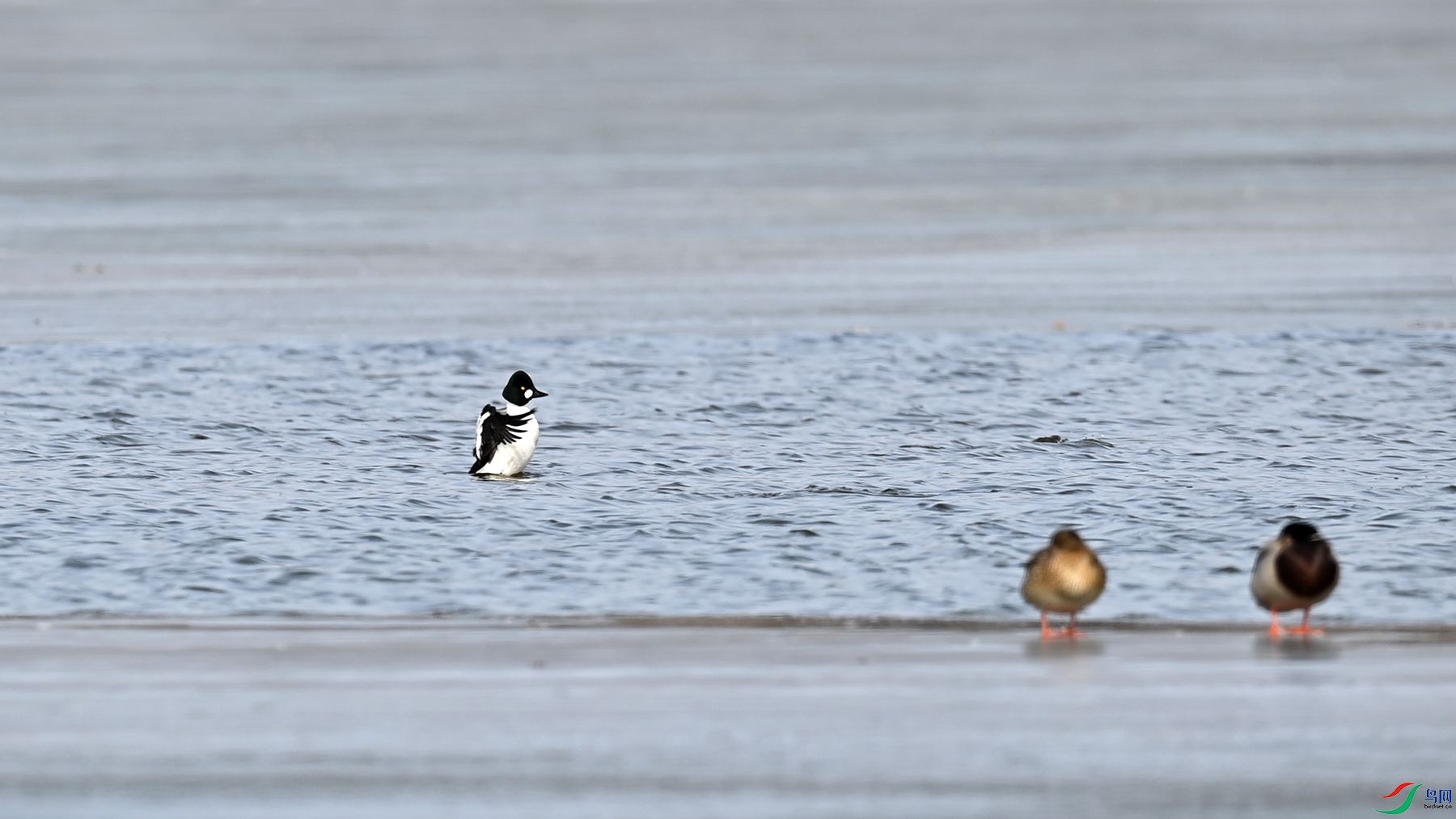 DSC_6767.jpg