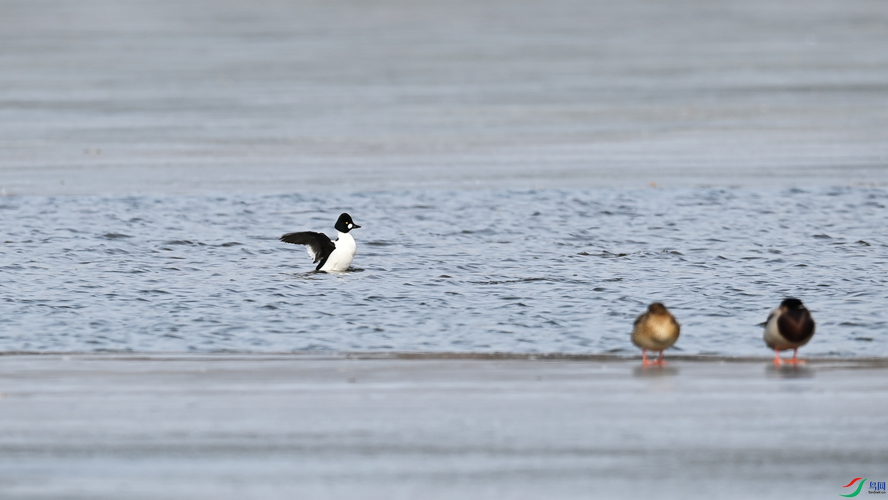 DSC_6766.jpg