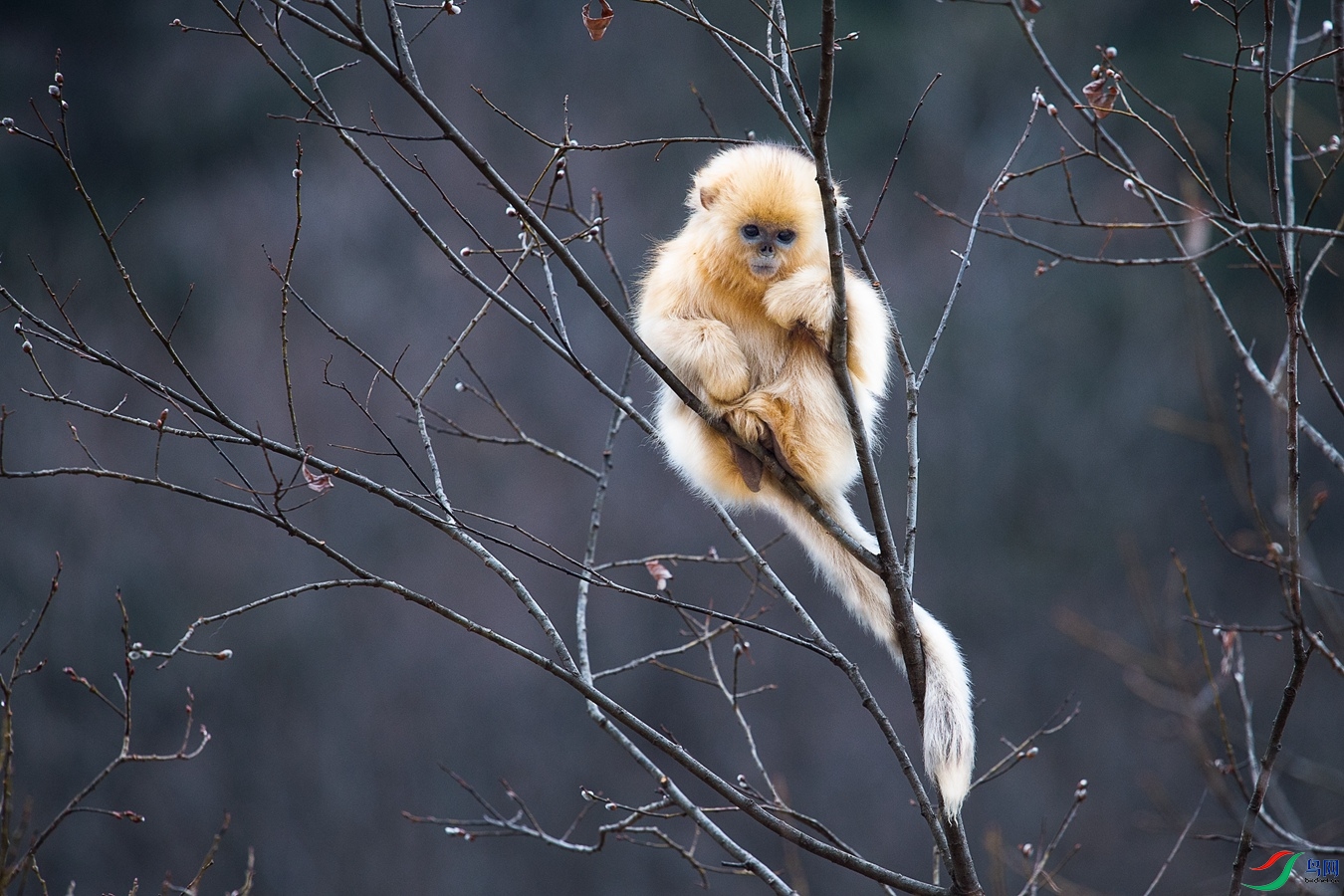 XCG_4626 - ����.jpg