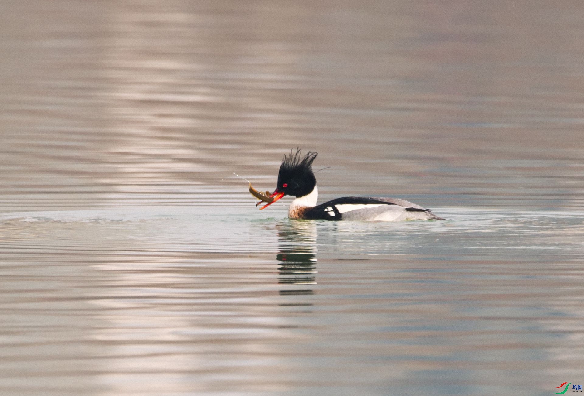 DSC_1103-Exposure.jpg