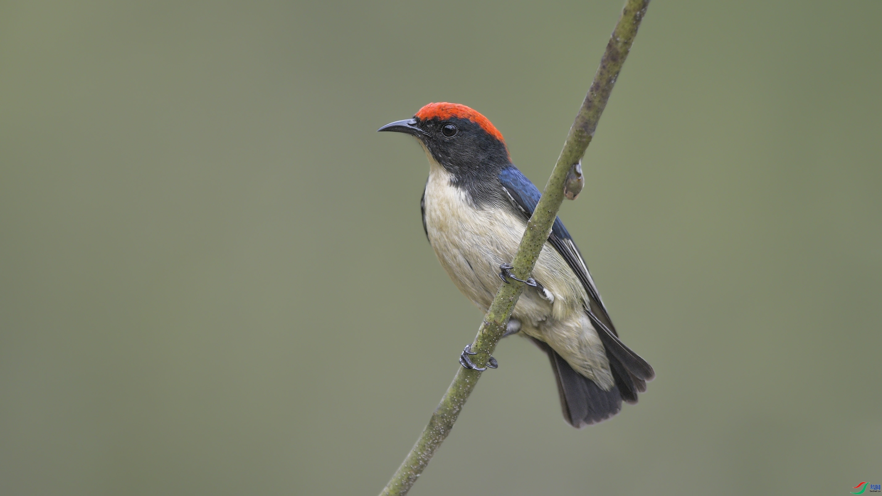 ����0008  ��ʦ�����ڹ���׳��������������.jpg