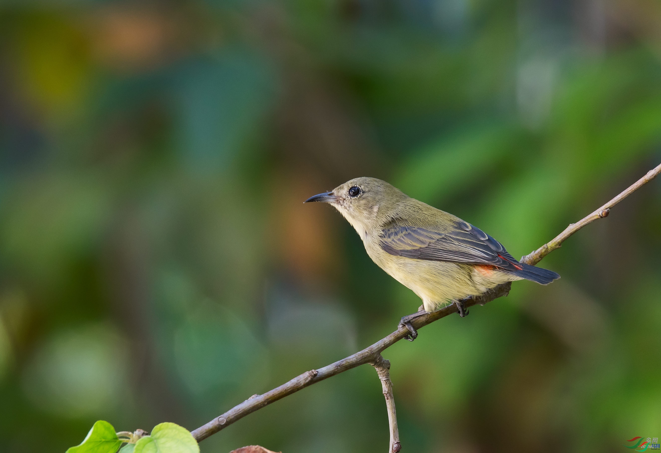 �����˼�  ��ʦ�����ڹ���׳��������������.jpg