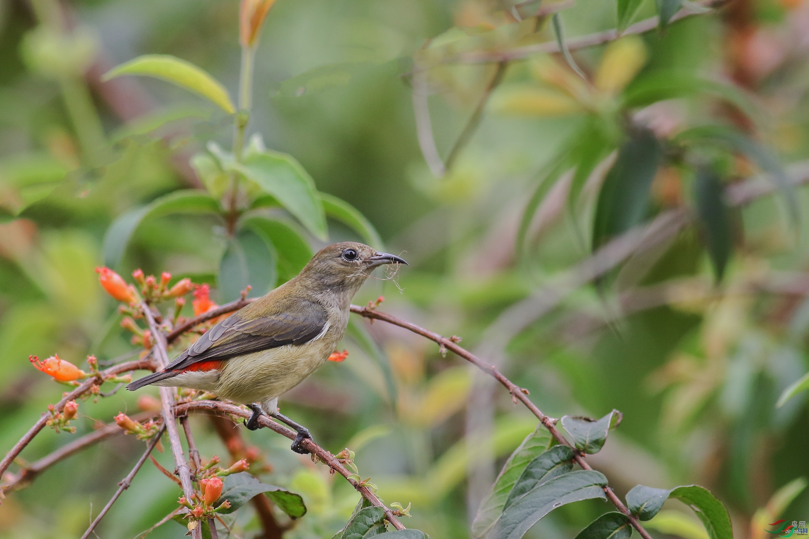 �����˼�  ��ʦ����.jpg