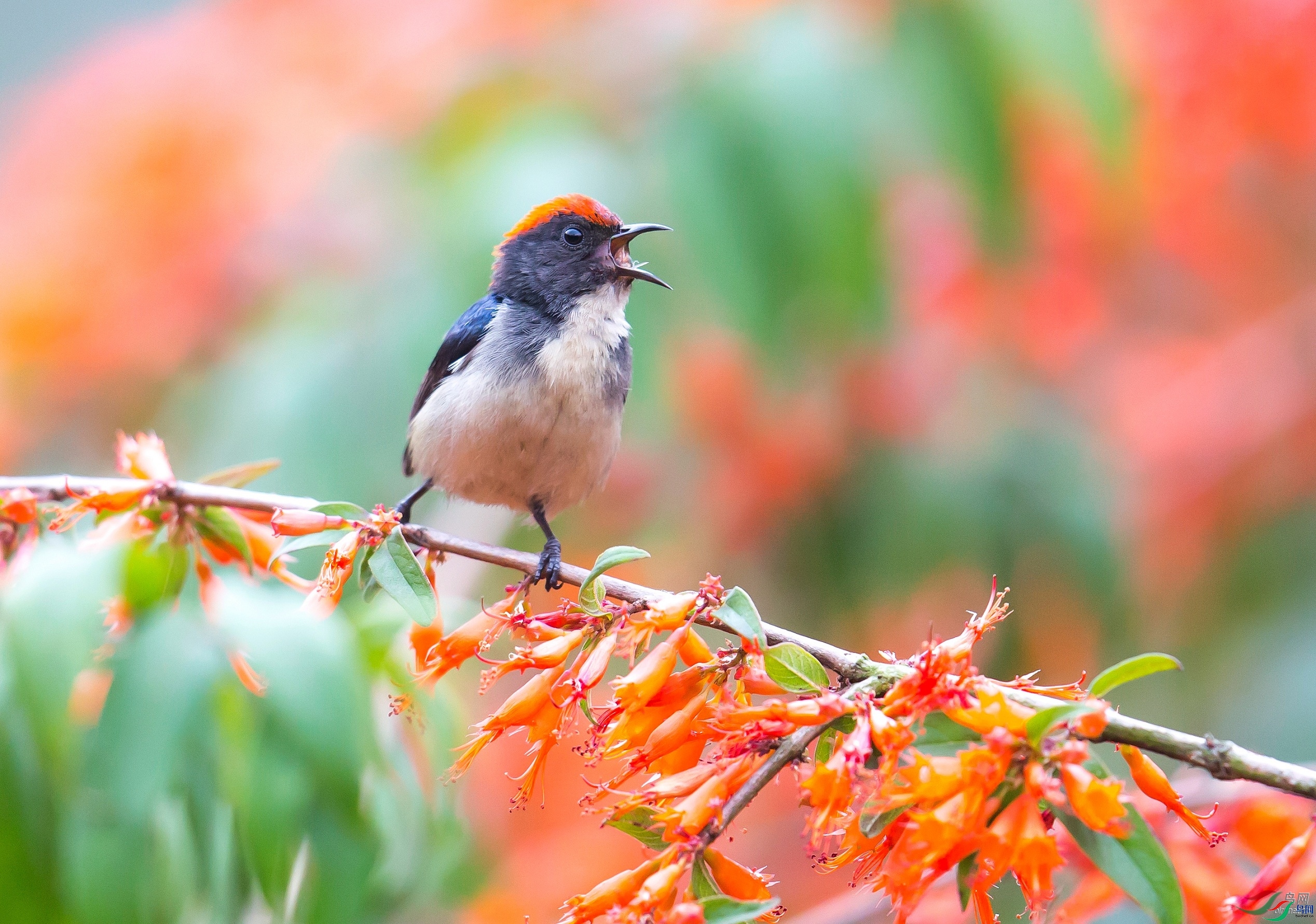 �������  ��ʦ�����ڹ㶫ʡ������.jpg