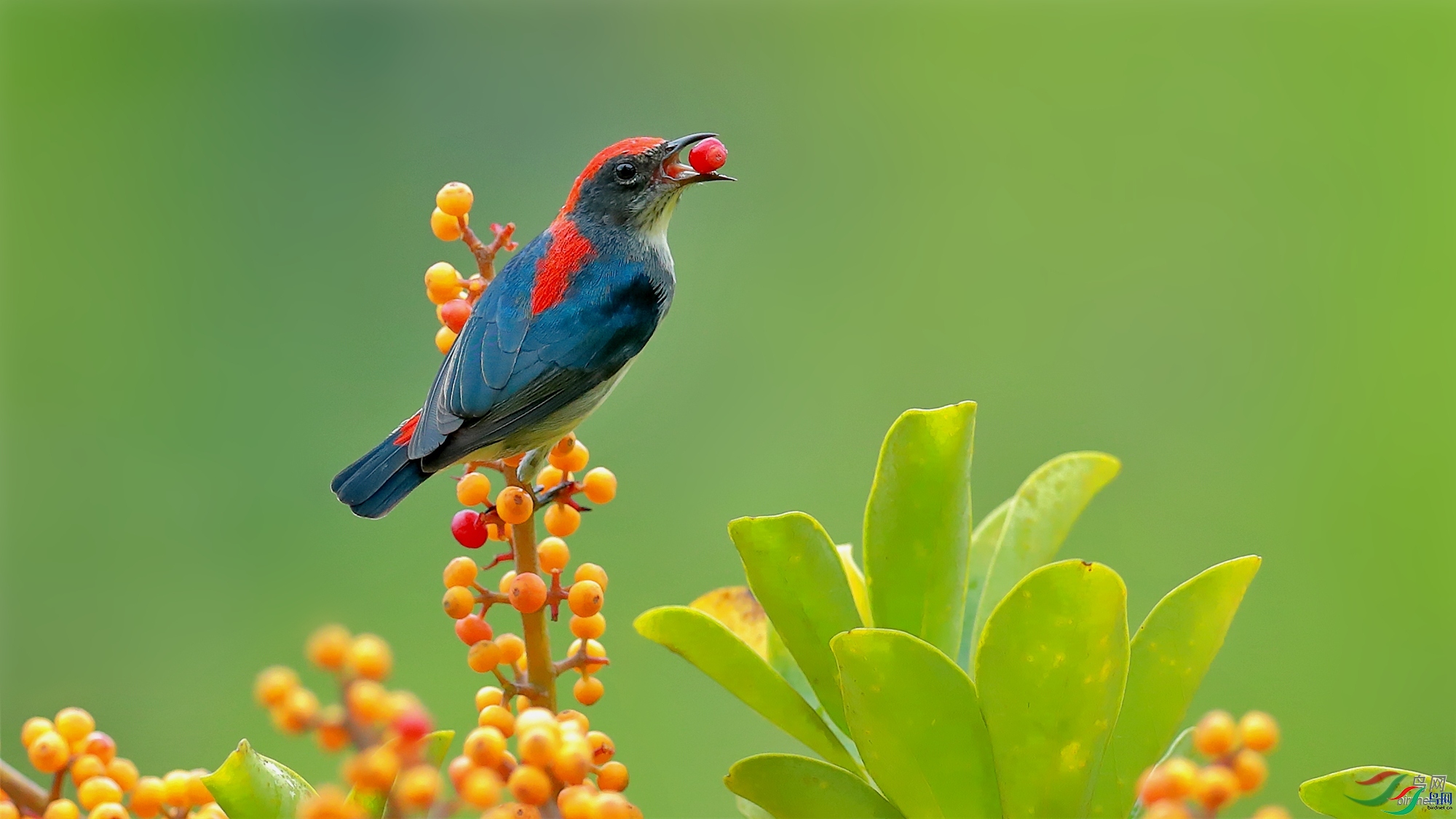 �½�����ӥ  ��ʦ�����ں���ʡ������.jpg