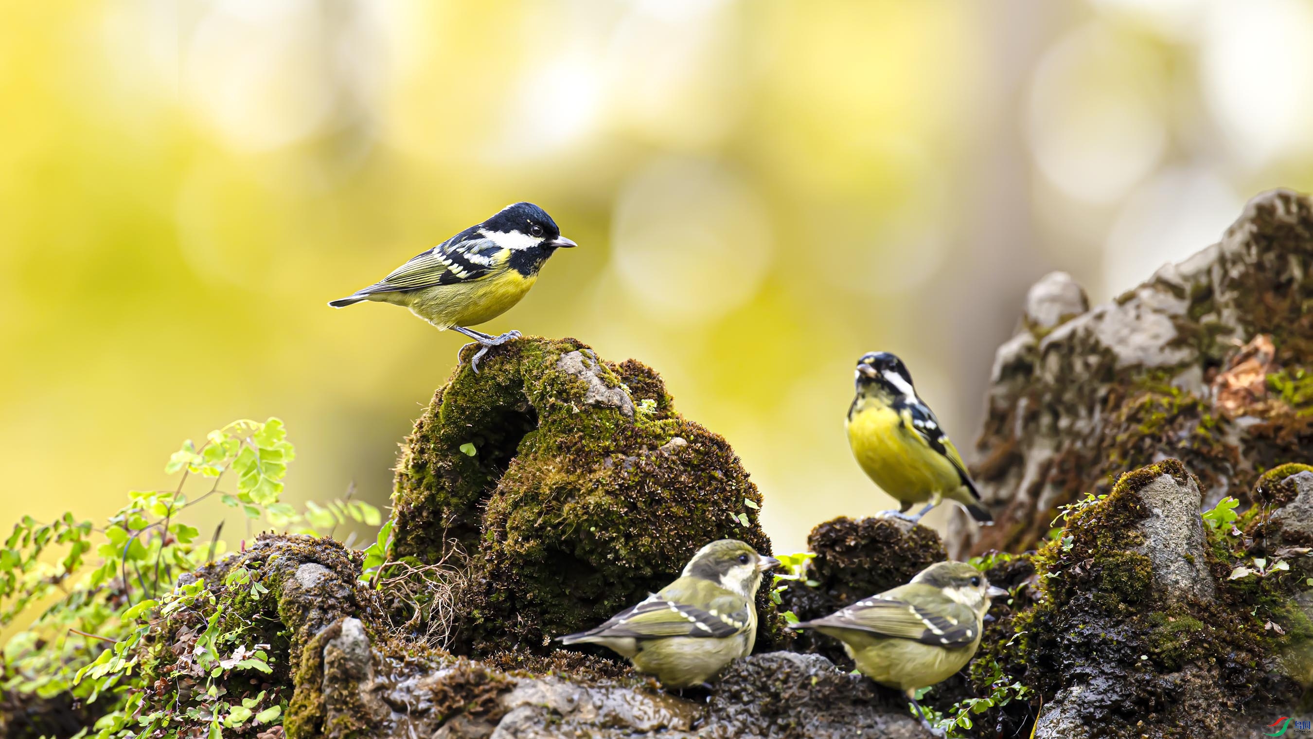 _DSC3894_DxO.jpg
