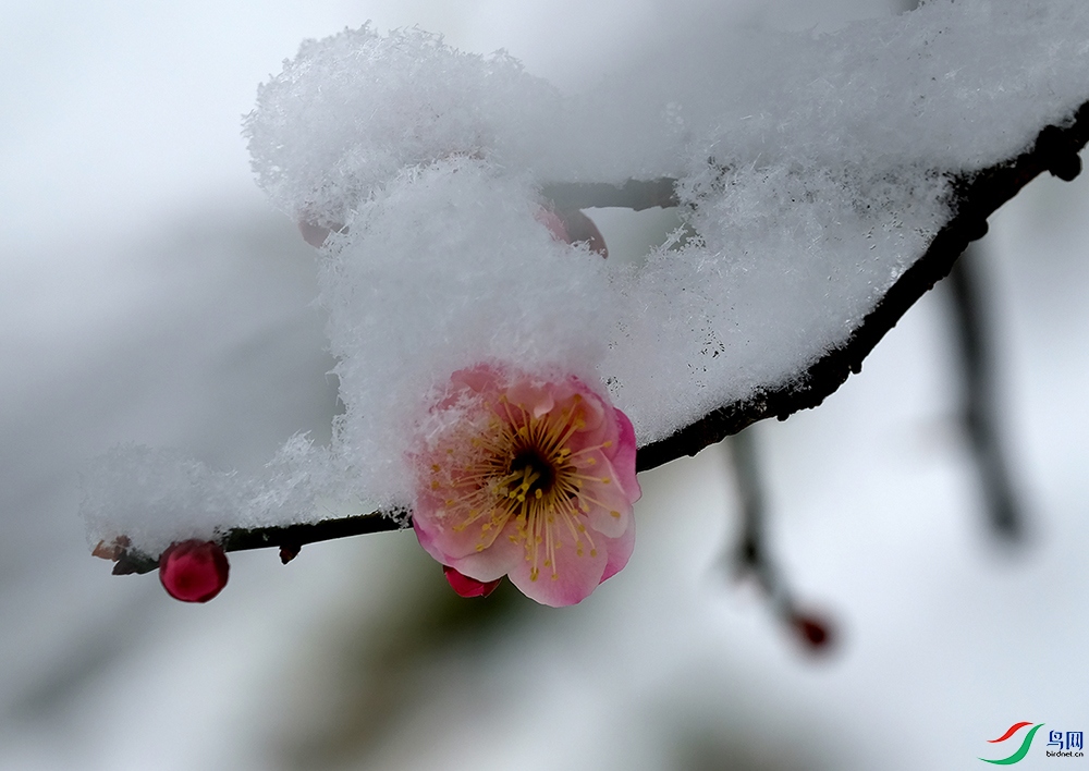 DSCF1309 - ����.JPG