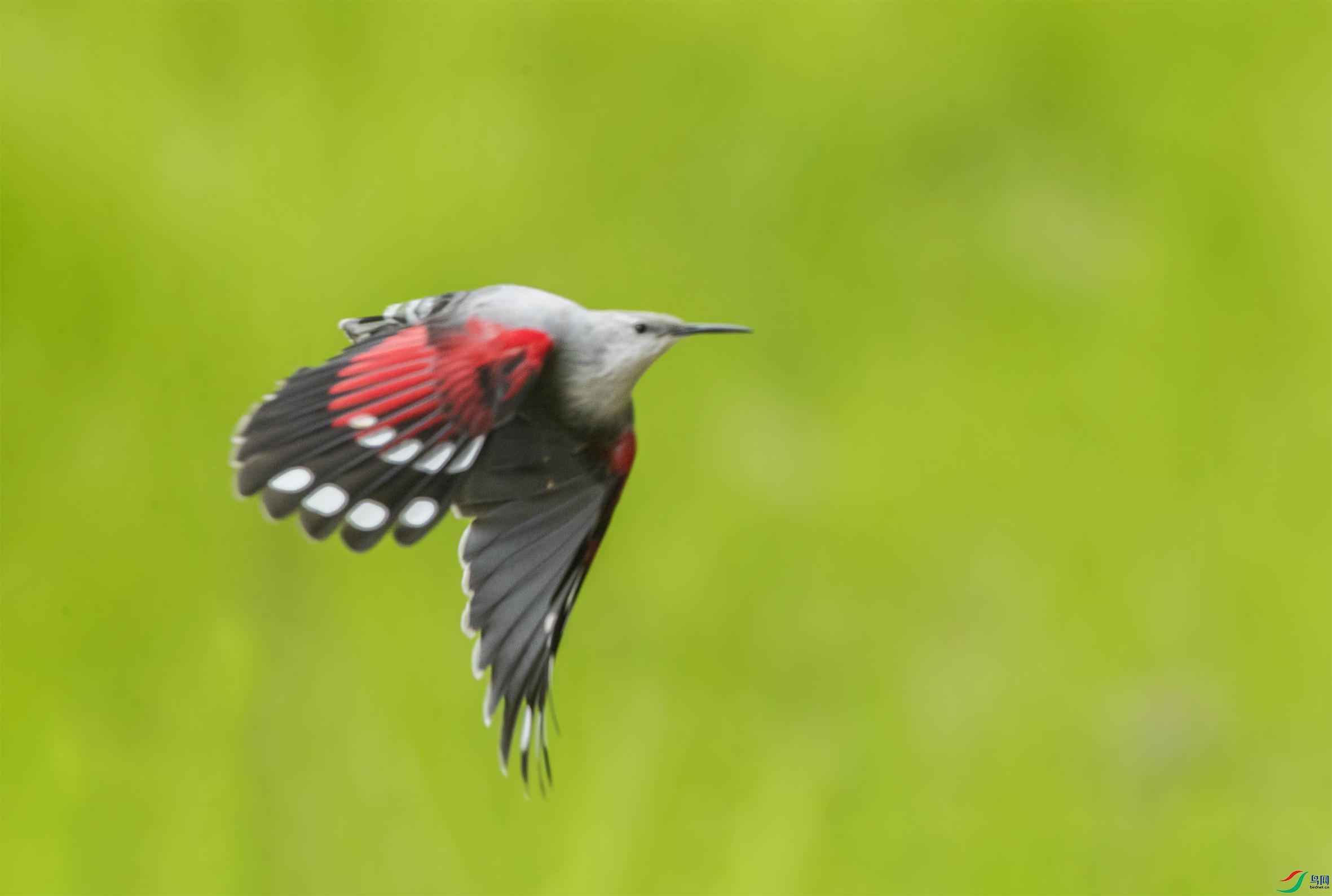 BT1I5375-1-- (3).jpg