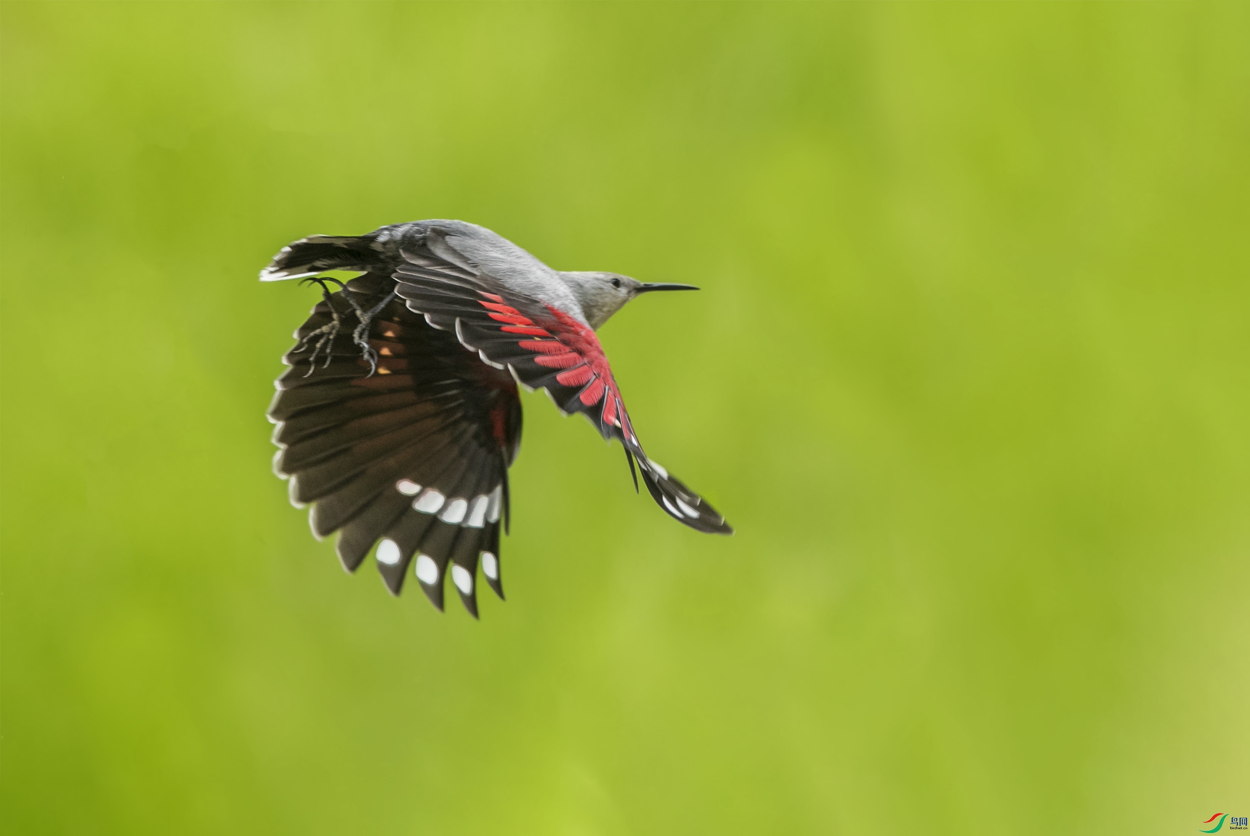 BT1I5375-1-- (6).jpg