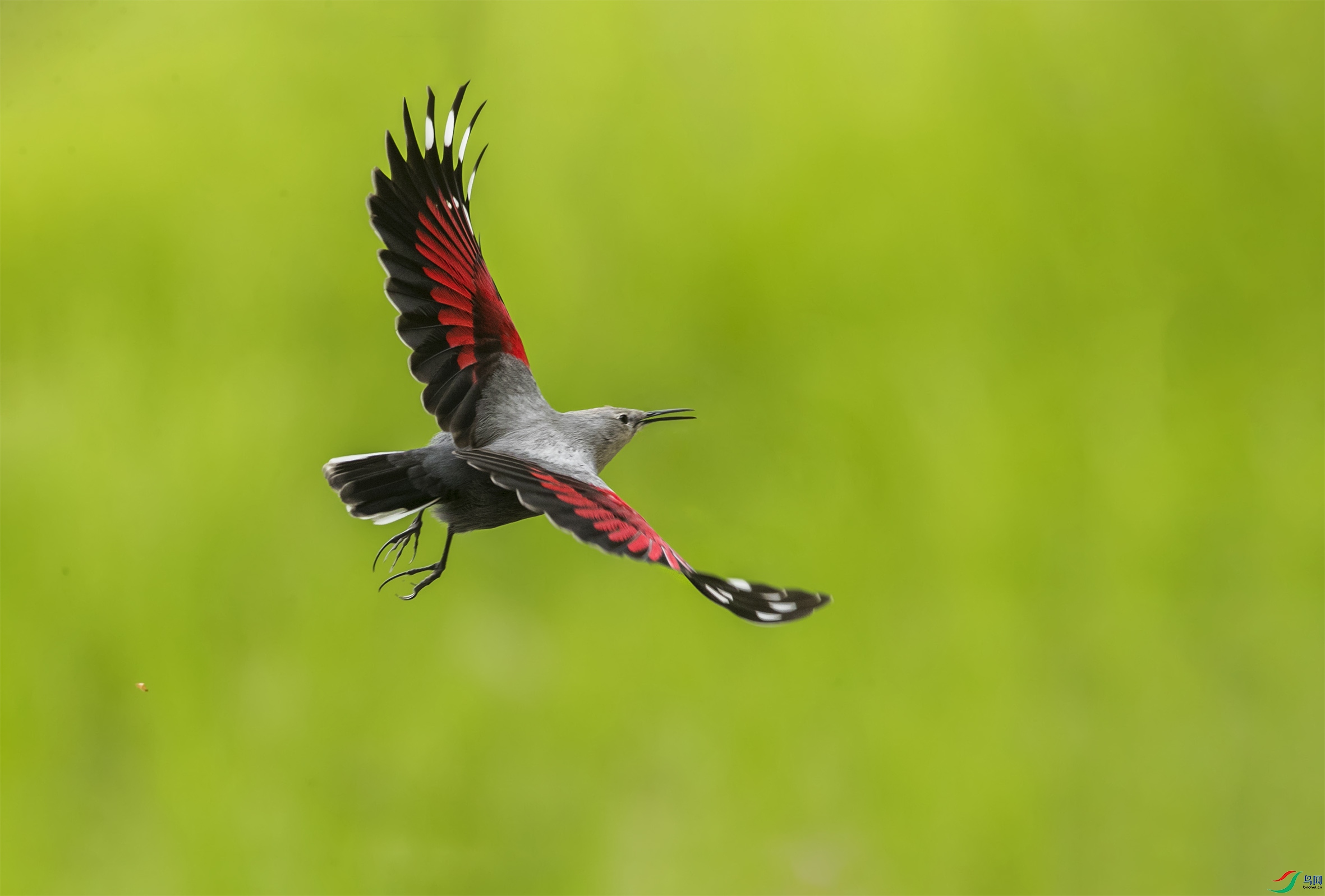 BT1I5375-1-- (7).jpg