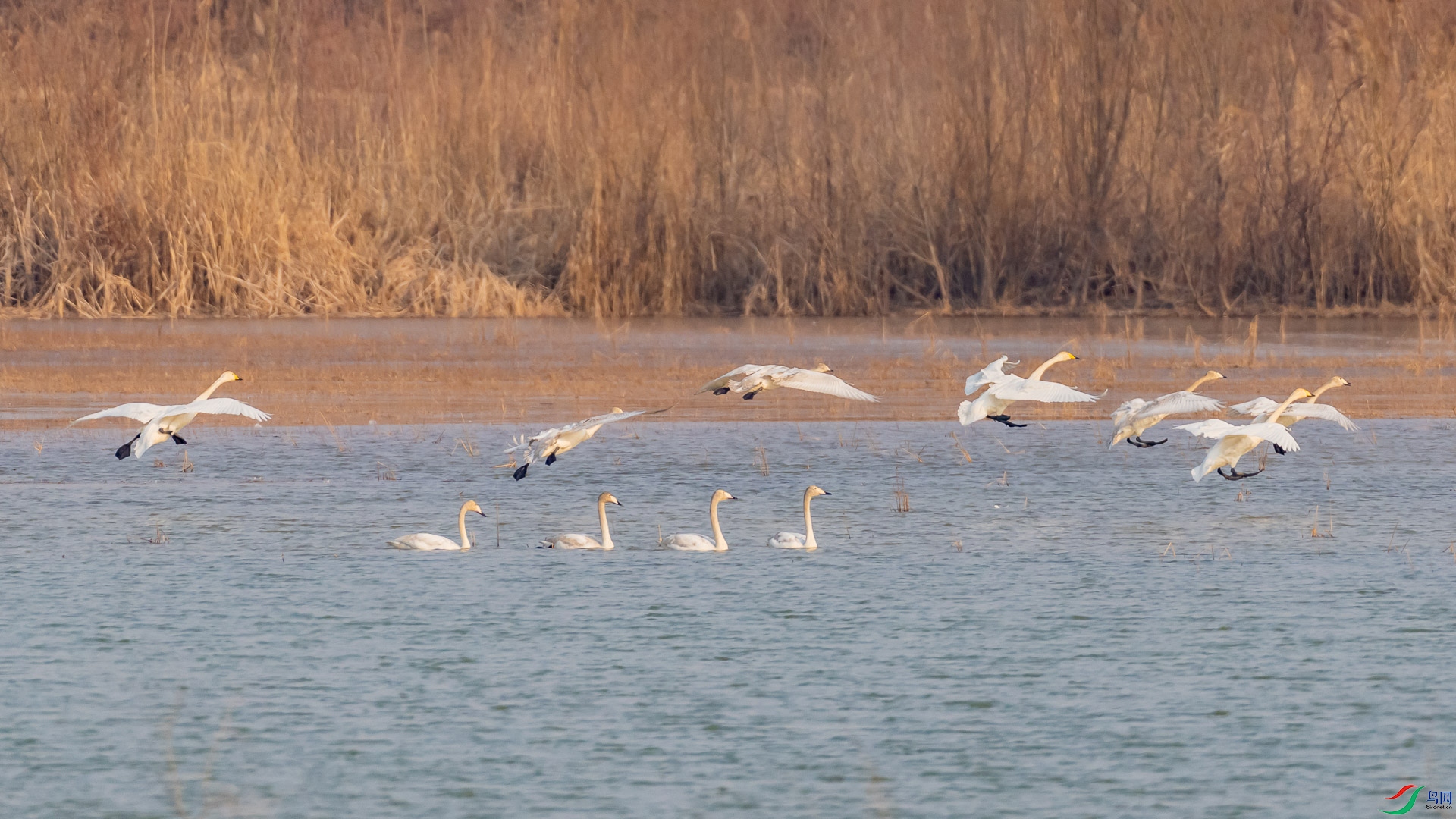_DSC4096.jpg