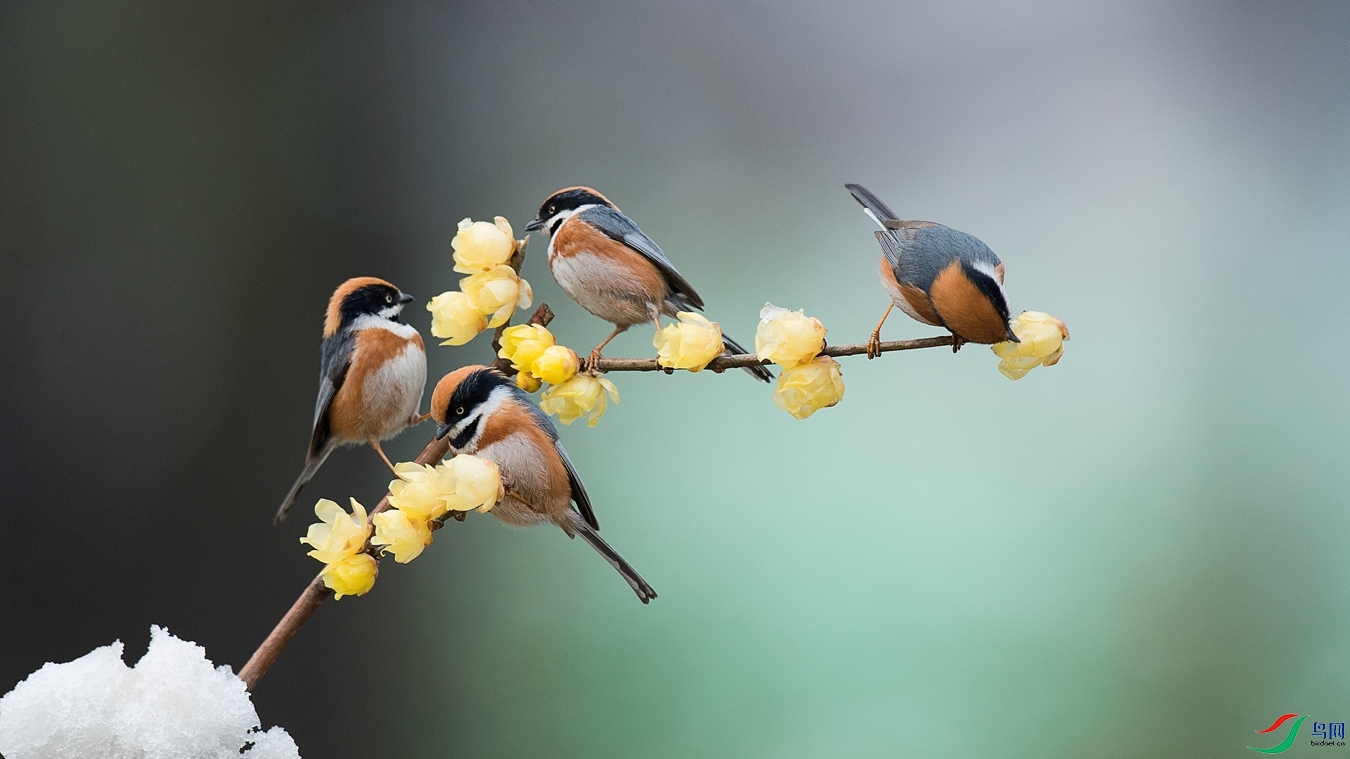 DSC_5562 - ����.jpg