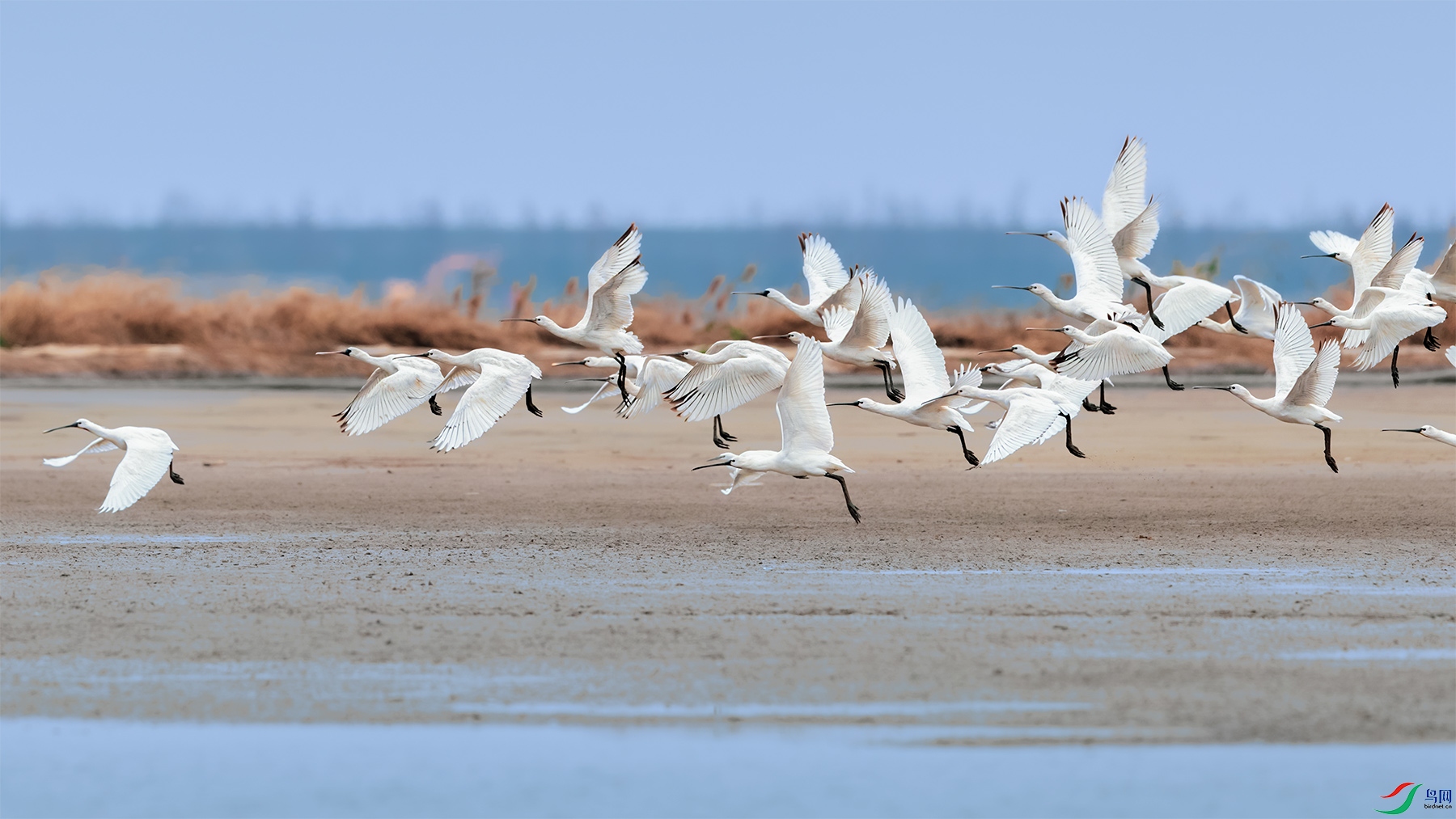 _MG_2494-3-1.jpg